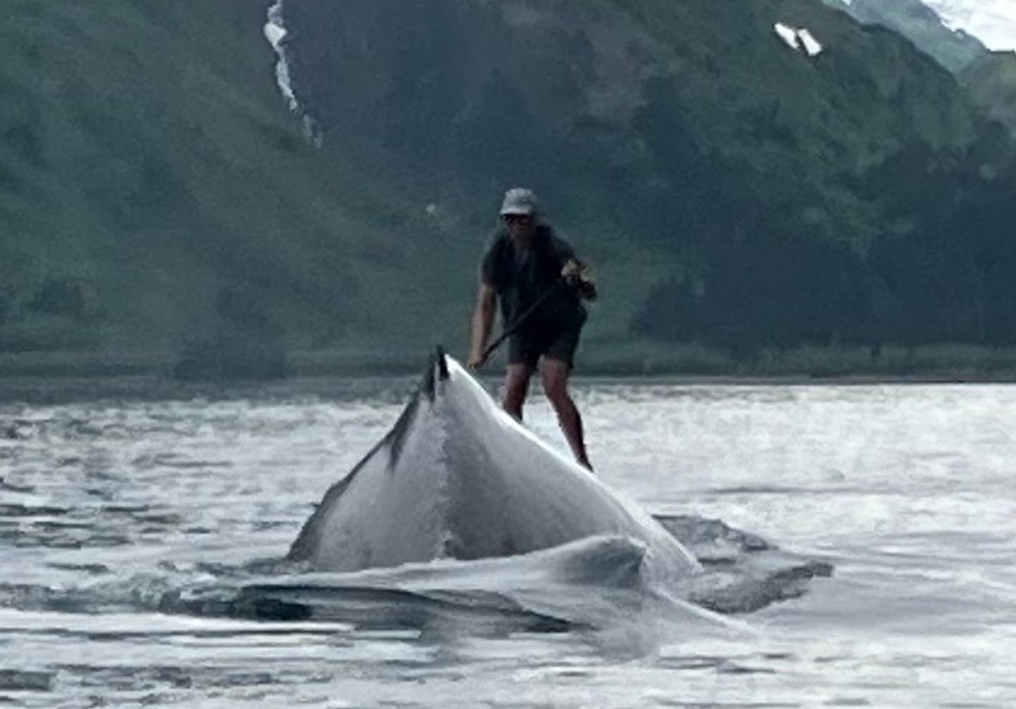 a person paddle boards in the water, near a whale