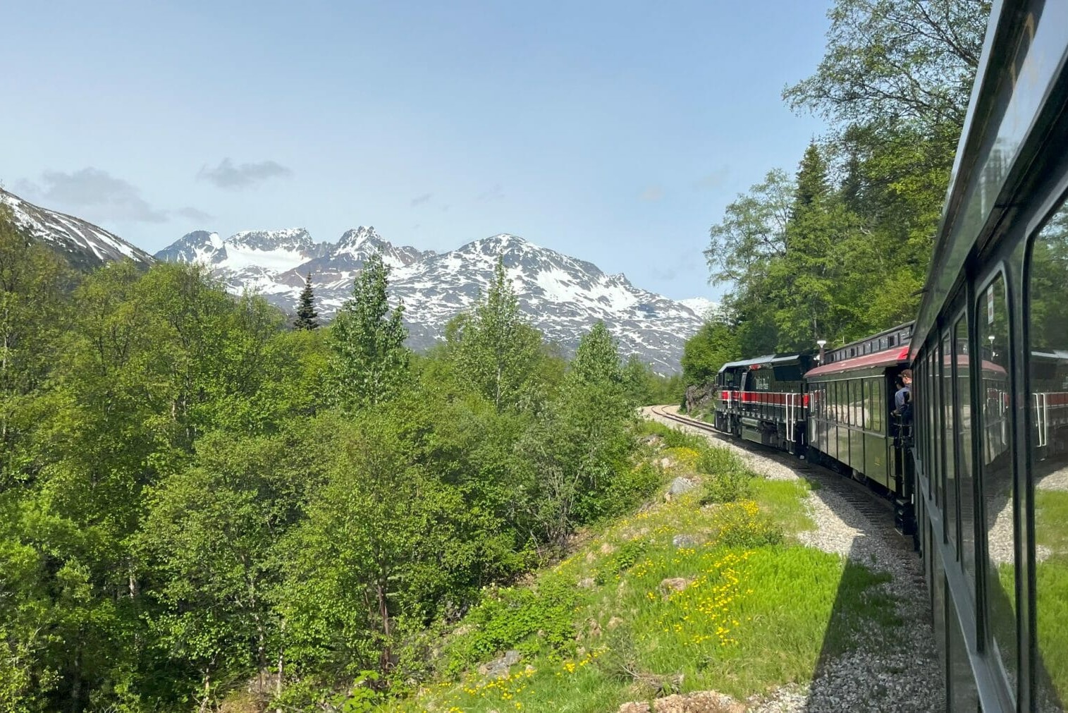a train heads through trees, with mountains in the background