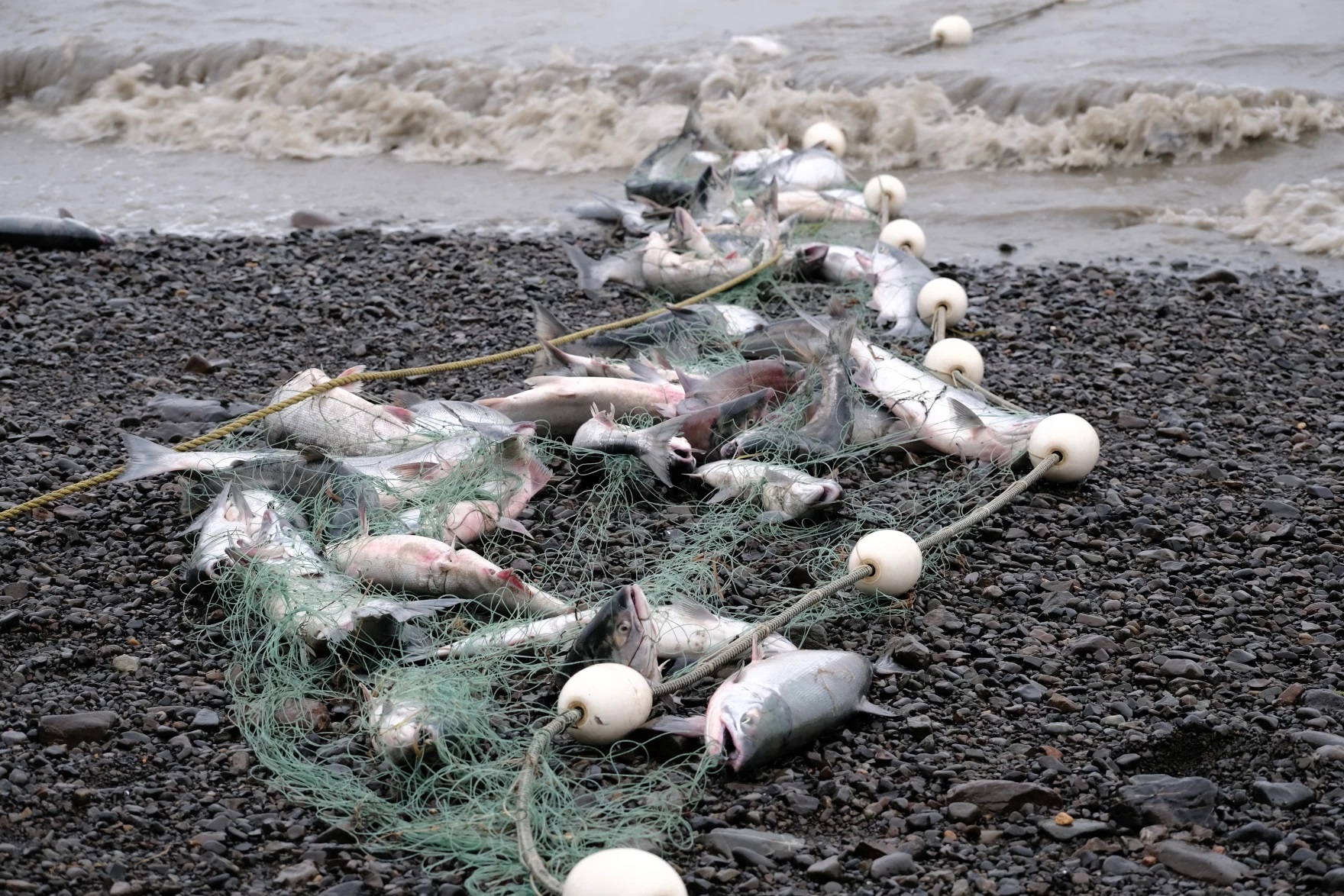 Bristol Bay tribe forms recycling program for fish nets, rain gear