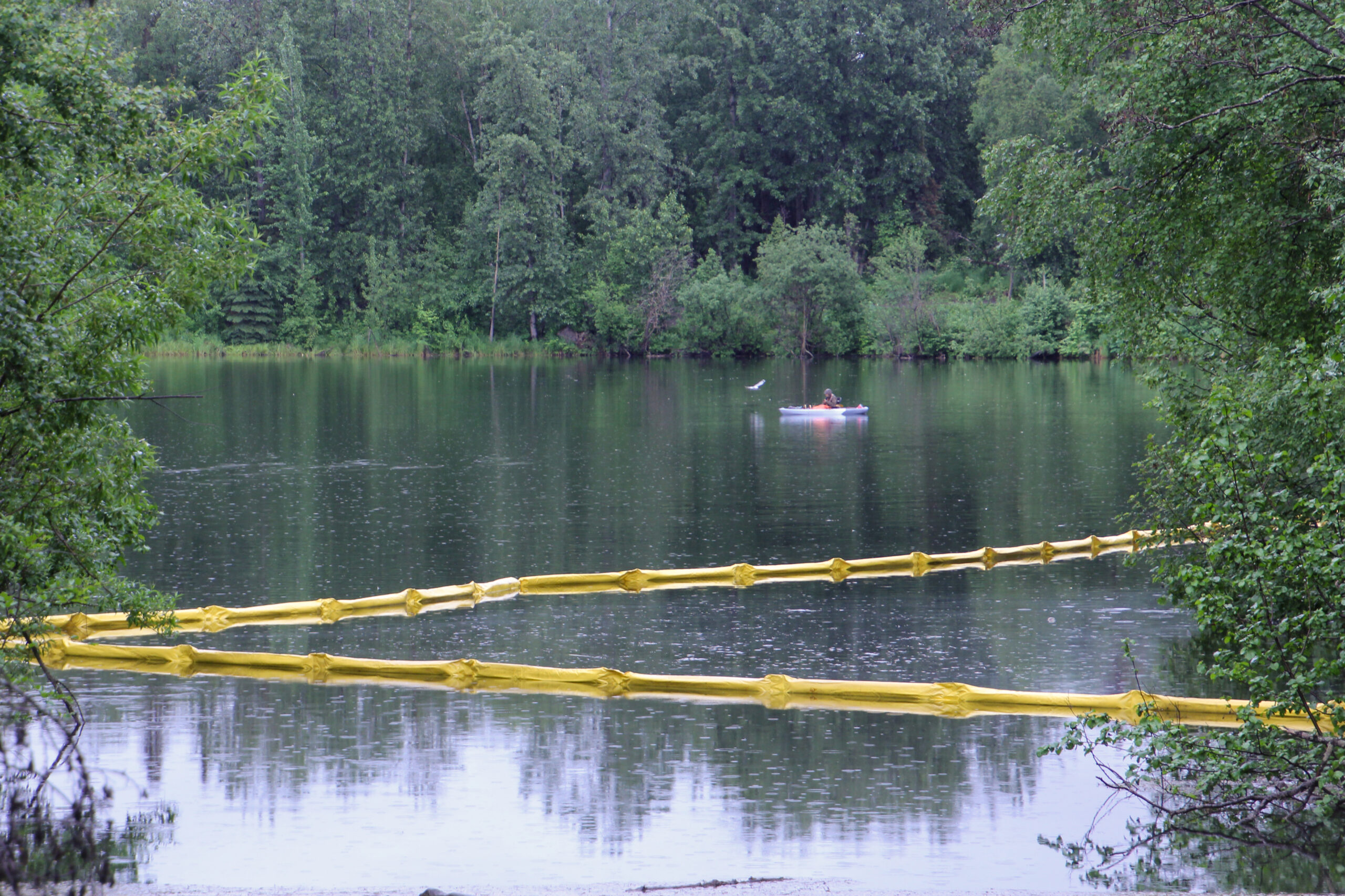a man in a kayak on a lake. a white bird flies near him. yellow floats create lines on the water.