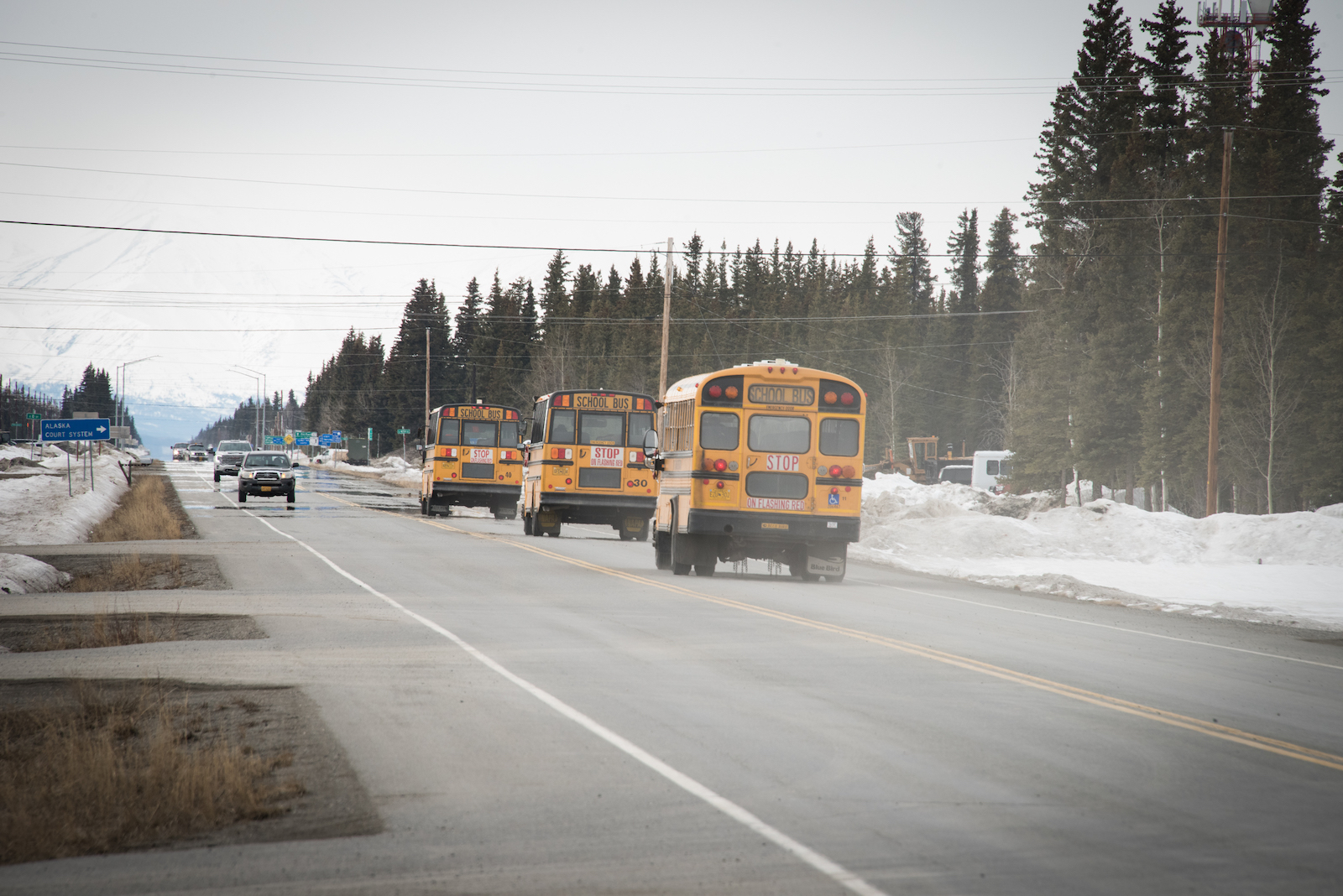 school buses on a road