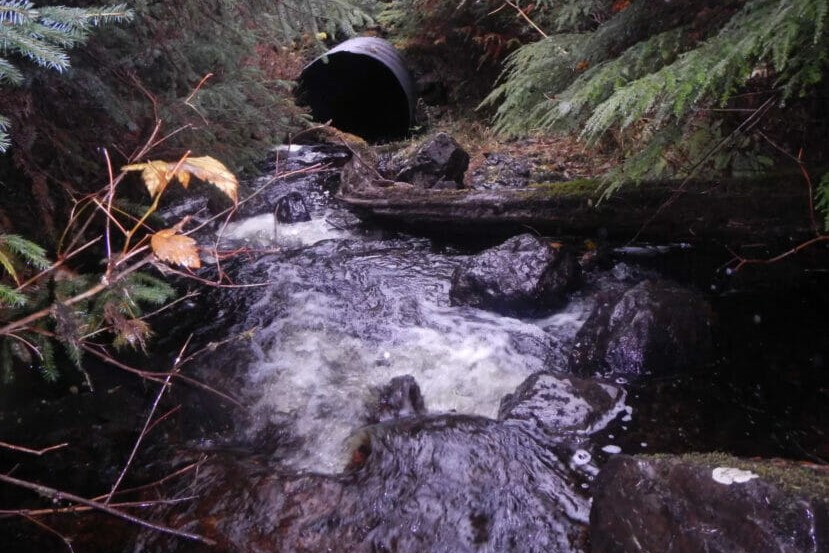 an old culvert, with water around it