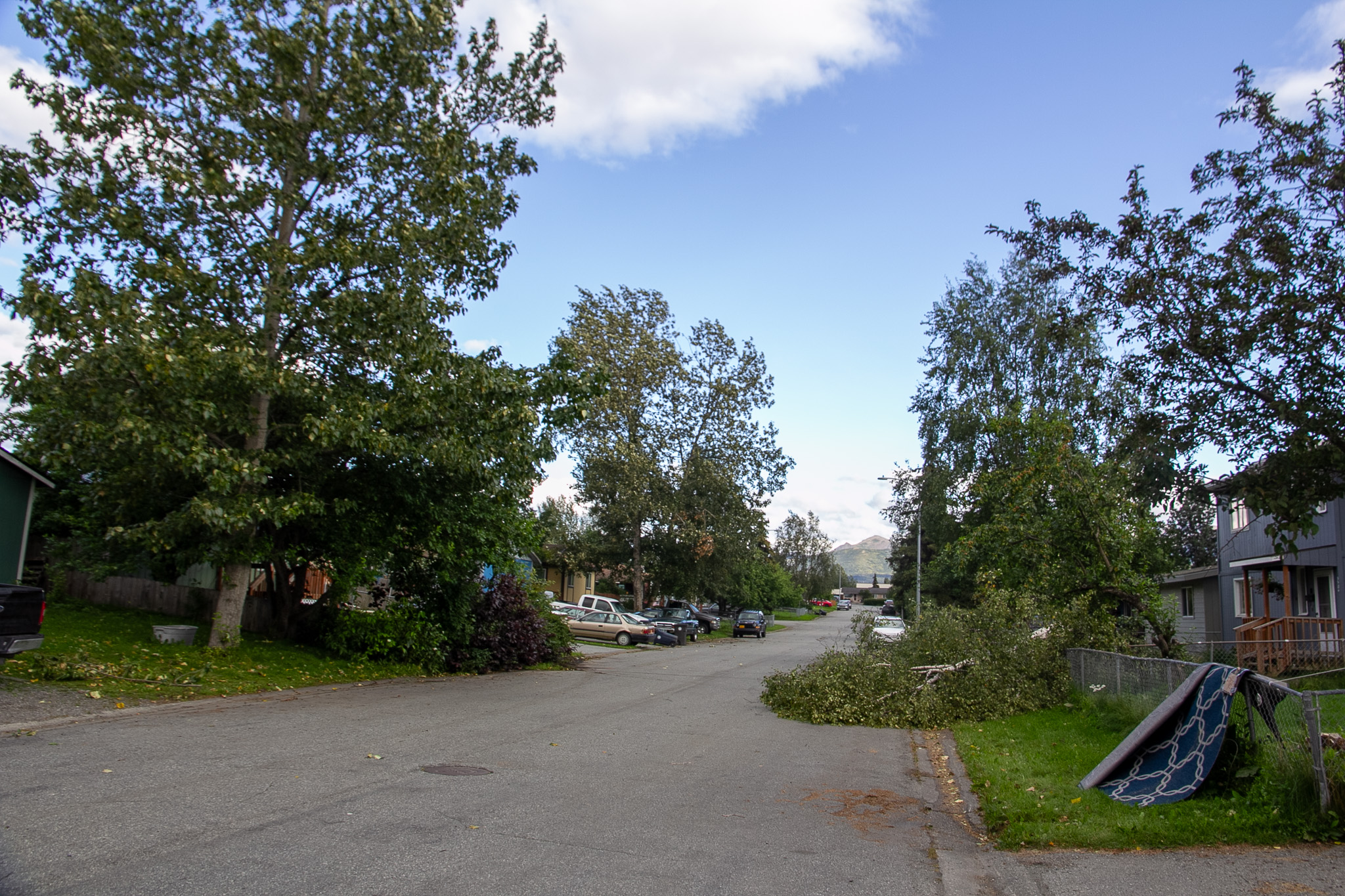 A neighborhood road with fallen trees laying in the road.