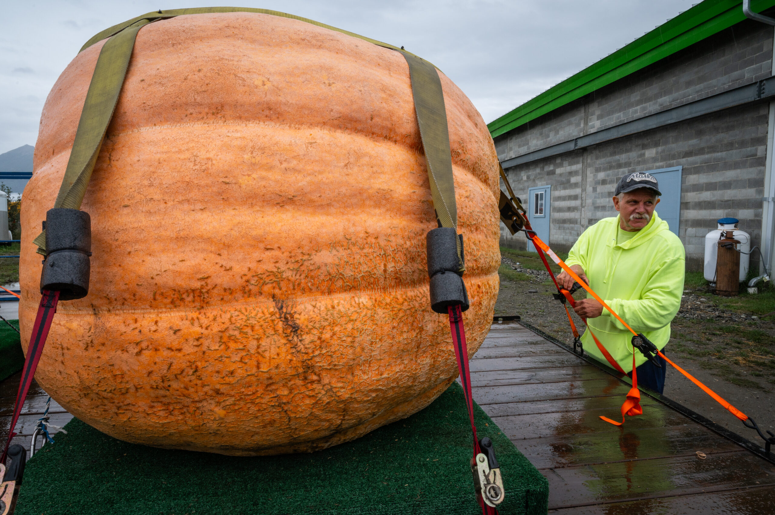 A man in a neon green sweat shirt unloads a giant pumpkin from a pallet