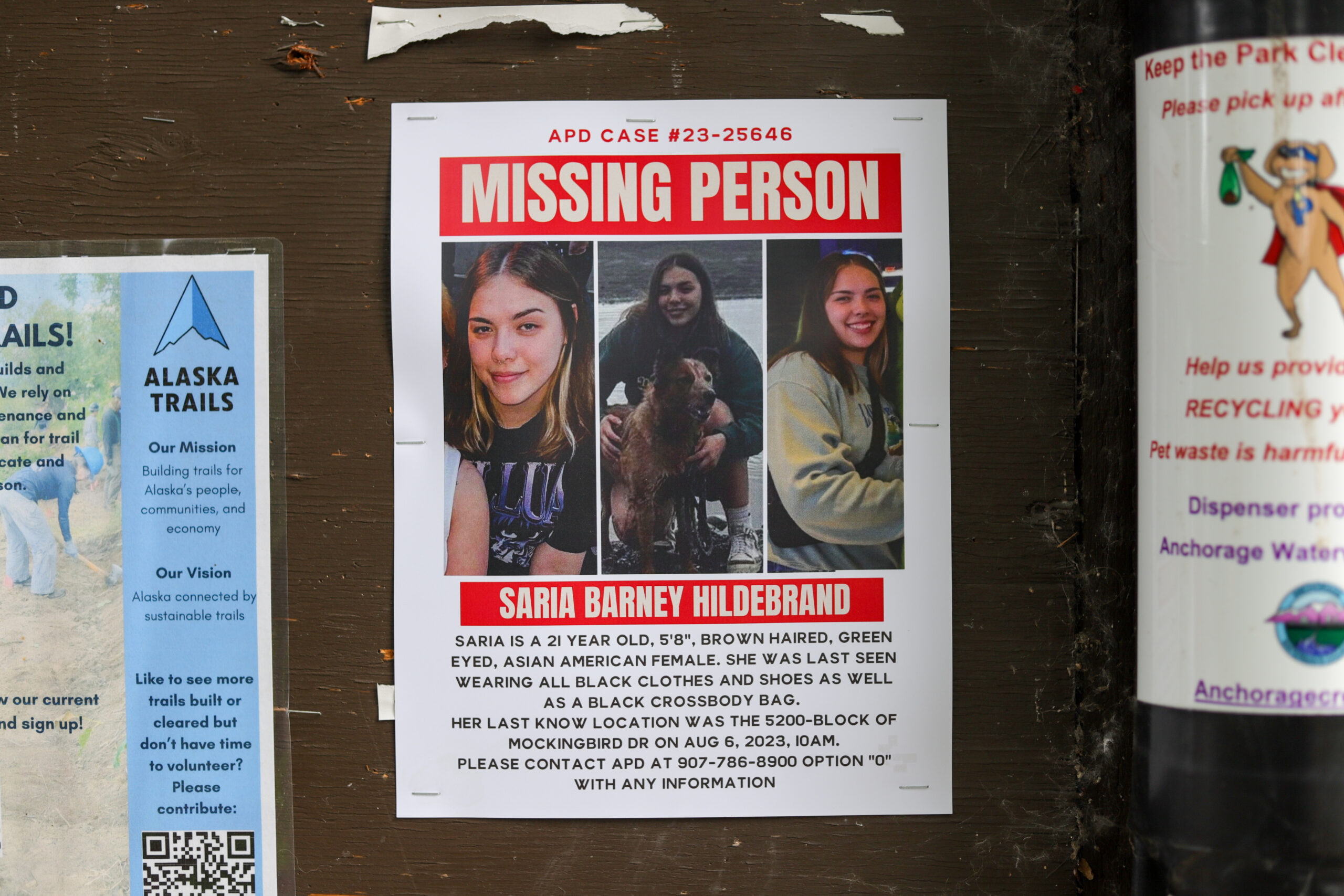 A missing person poster for Saria Barney Hildebrand.