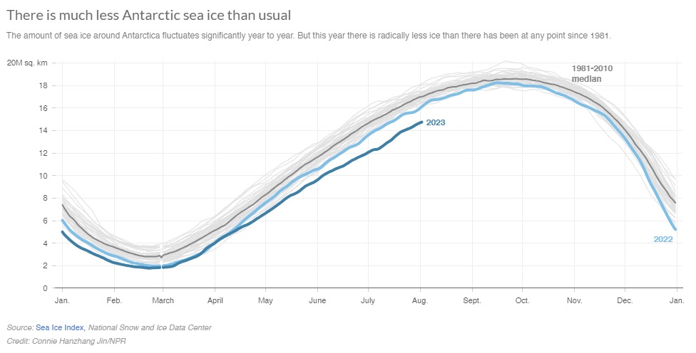 a graph of Antarctic sea ice