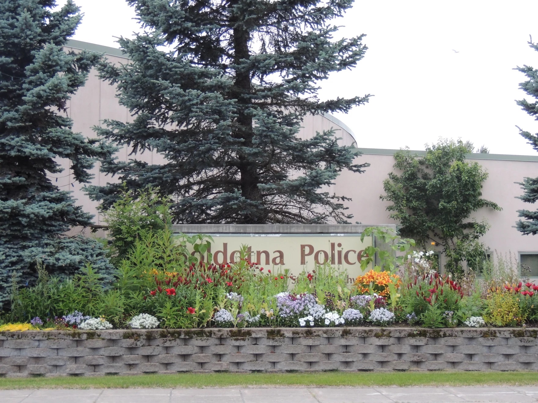 the Soldotna police department