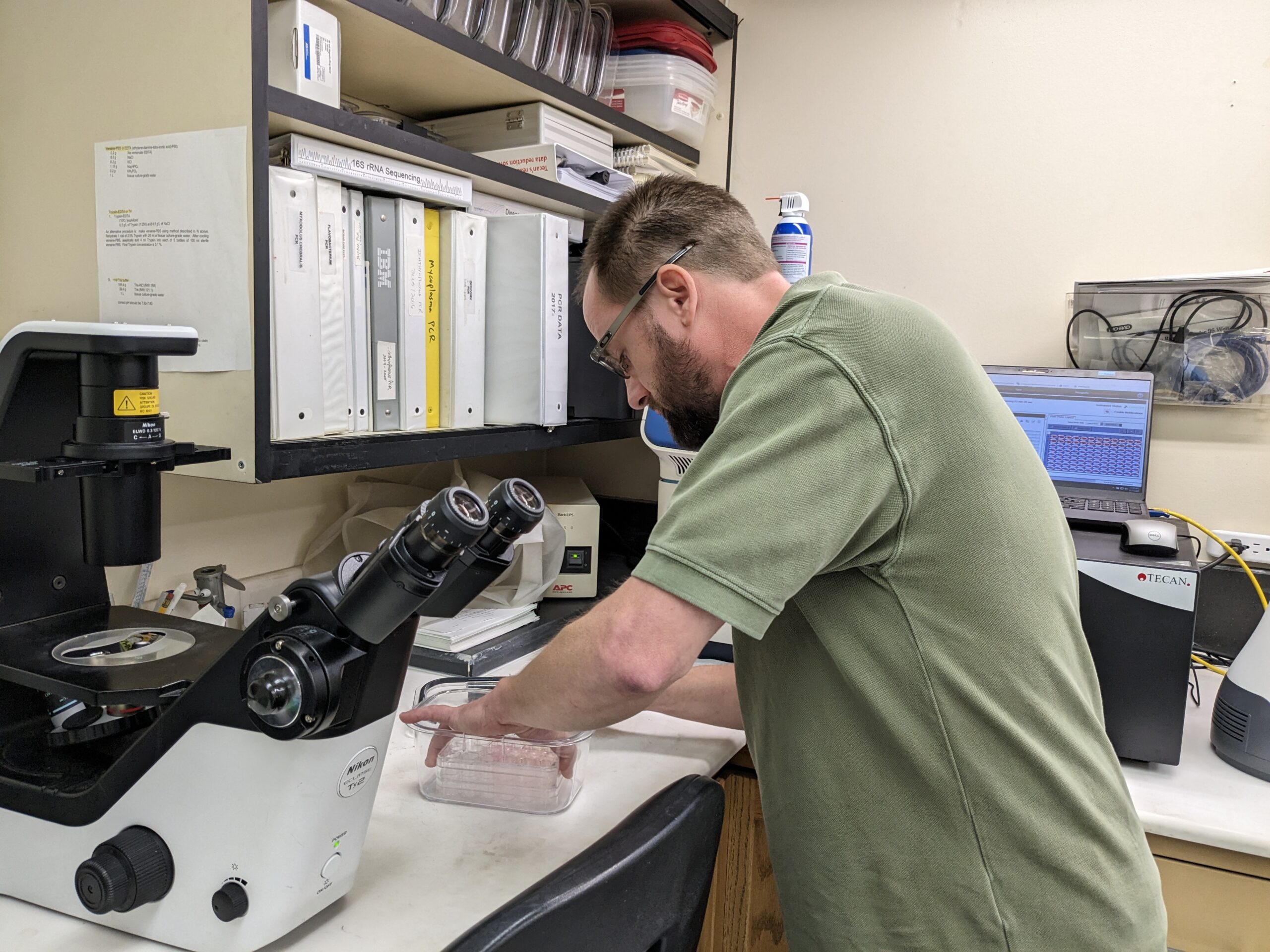 A man moves a plastic tray of cell samples to a microscope in a laboratory.