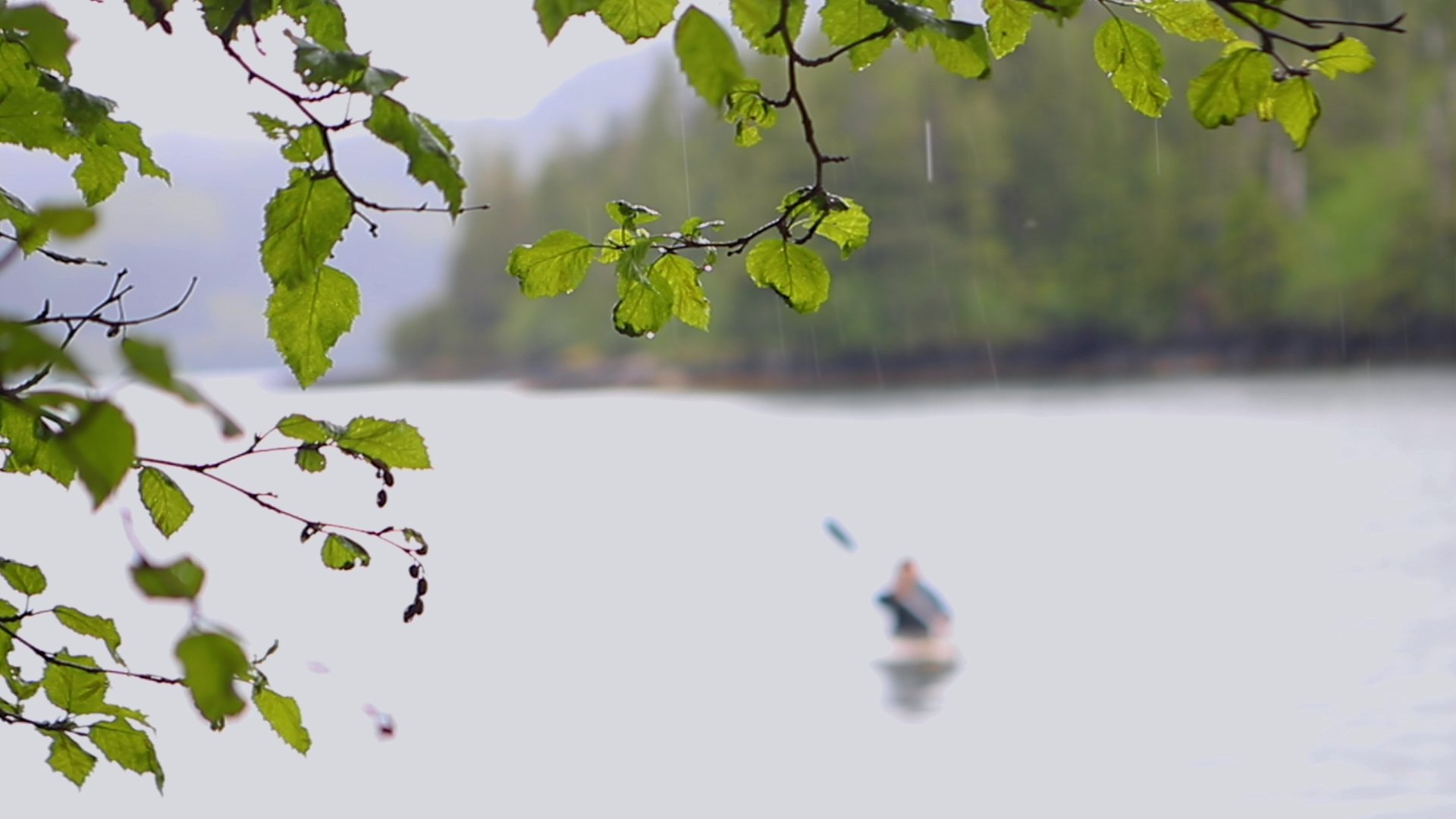 An out-of-focus kayaker paddles on calm water