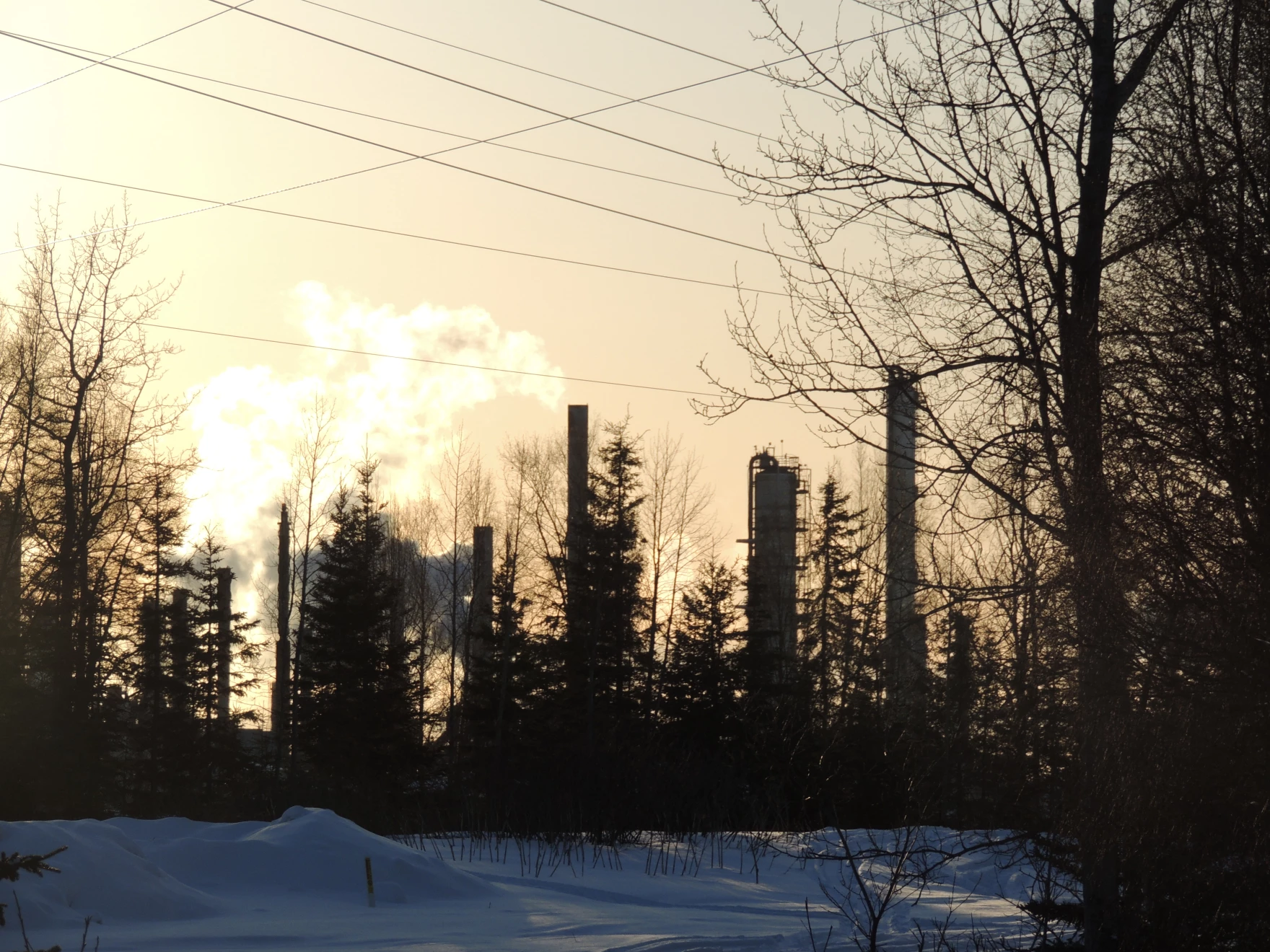 smoke stacks in the background of a forest, spewing gas into the air