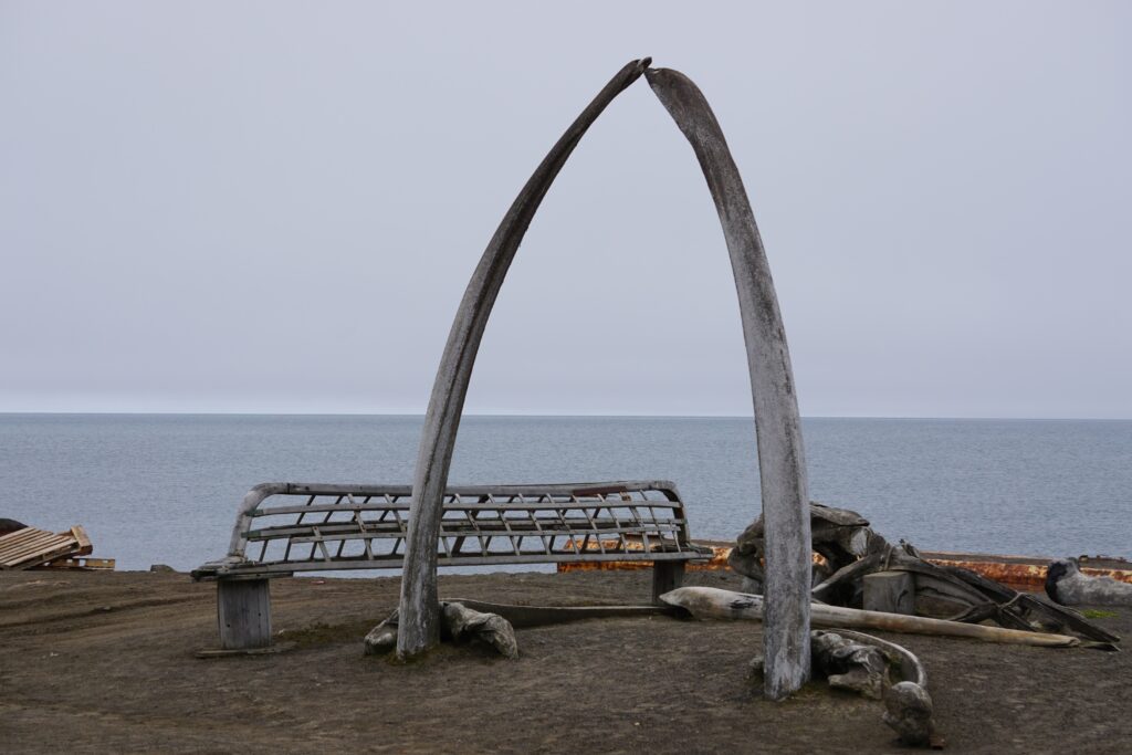 a whalebone arch
