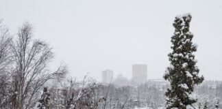 A picture of a downtown skyline while it's snowing.