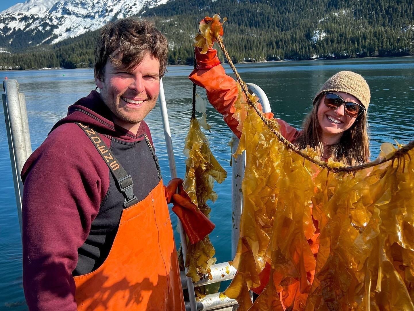 A man and woman on a boat wearing waders. The woman is holding up a rope laden with strings of kelp.