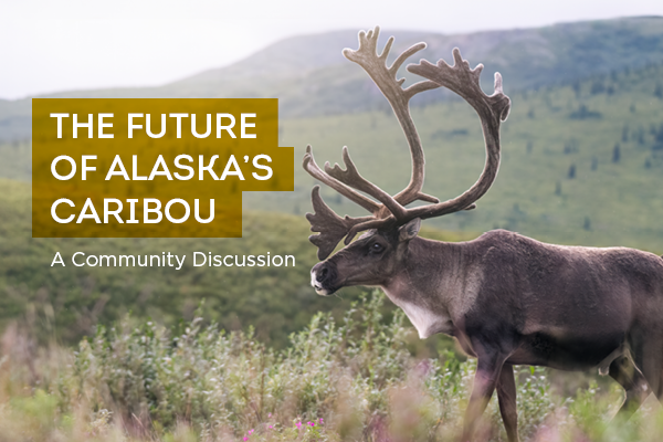 The Future of Alaska's Caribou A Community Discussion