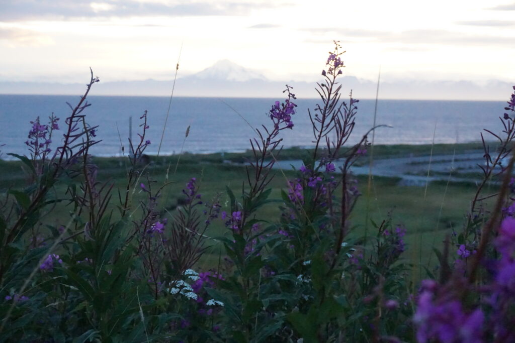 Cook Inlet