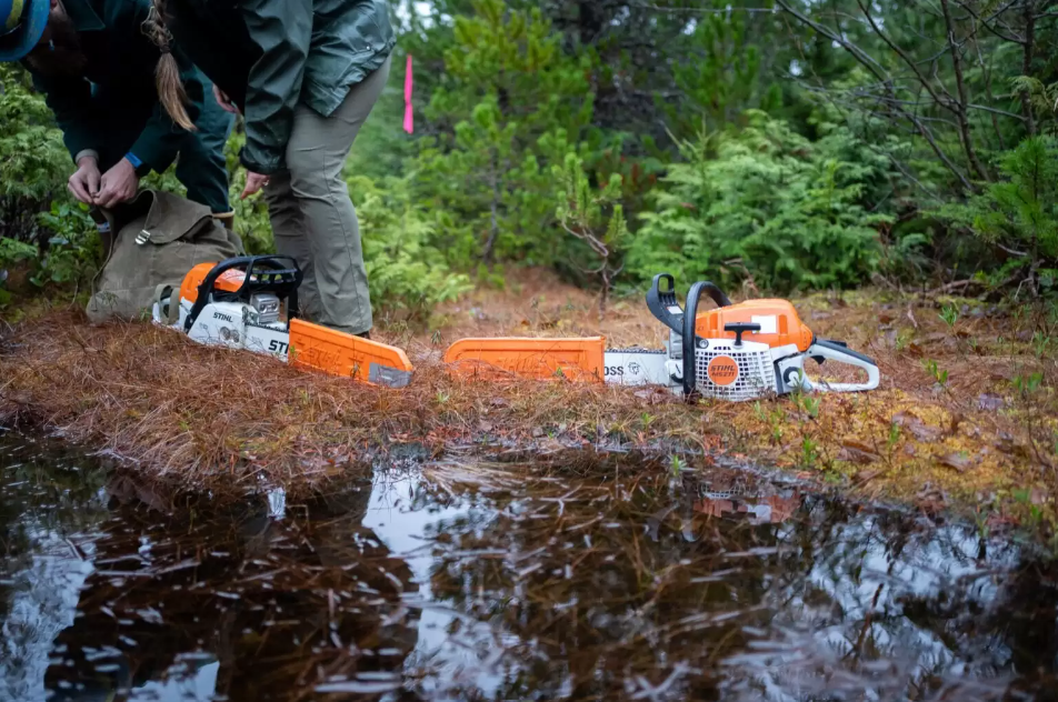 Two people stand over chainsaws on the forest floor in Ketchikan.