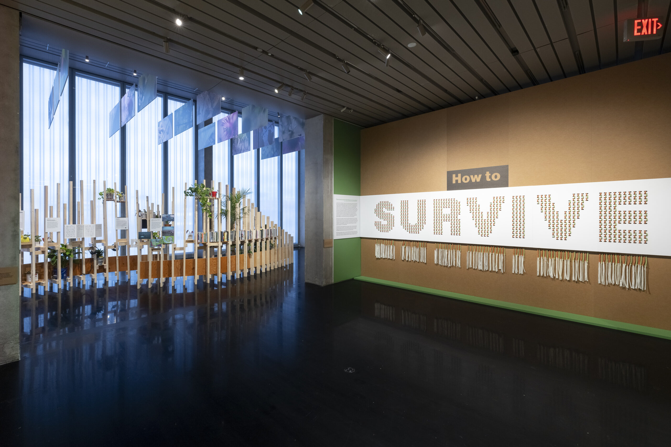 The entrance to a museum exhibit. The title of the exhibit, "How to Survive," is displayed on a wall.