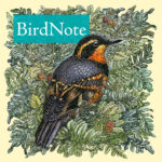 bird note