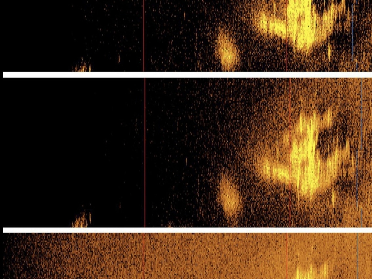 a sonar image