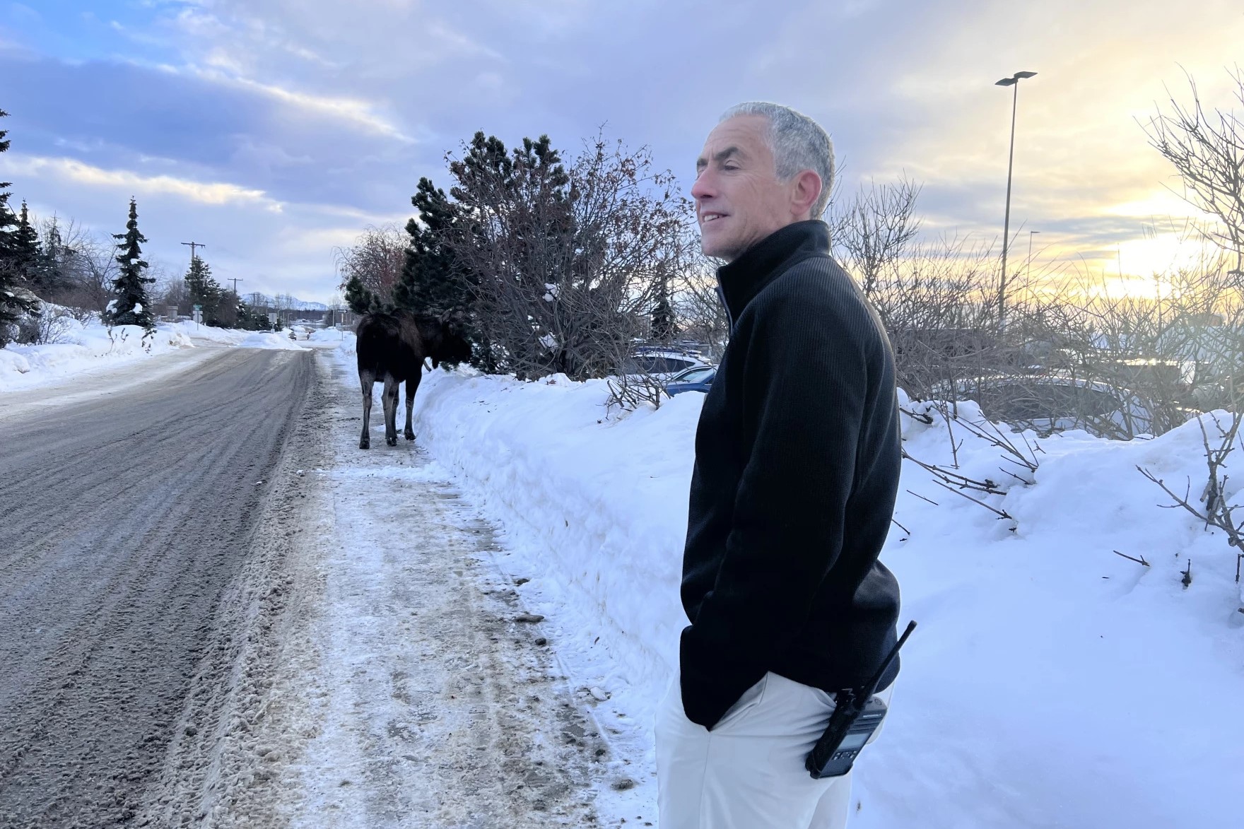 a man and a moose on the side of a road