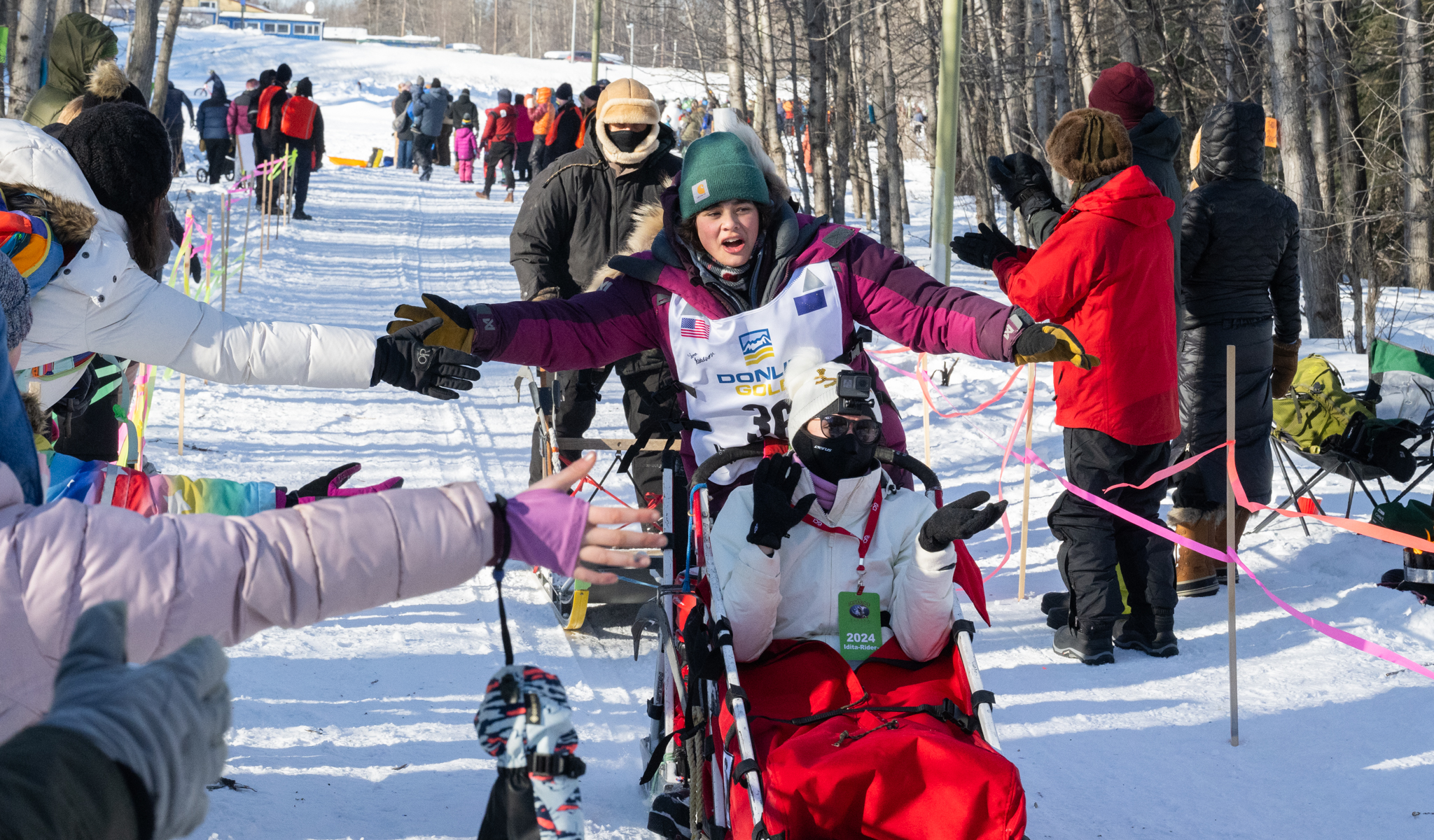 A woman in a purple winter coat gives hi-fives while riding on a dog sled