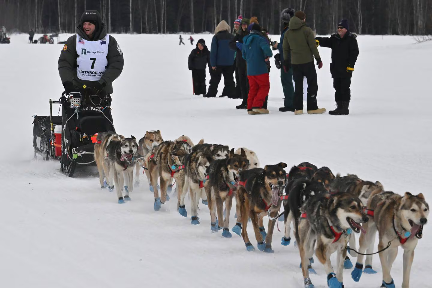 a musher and a team of sled dogs