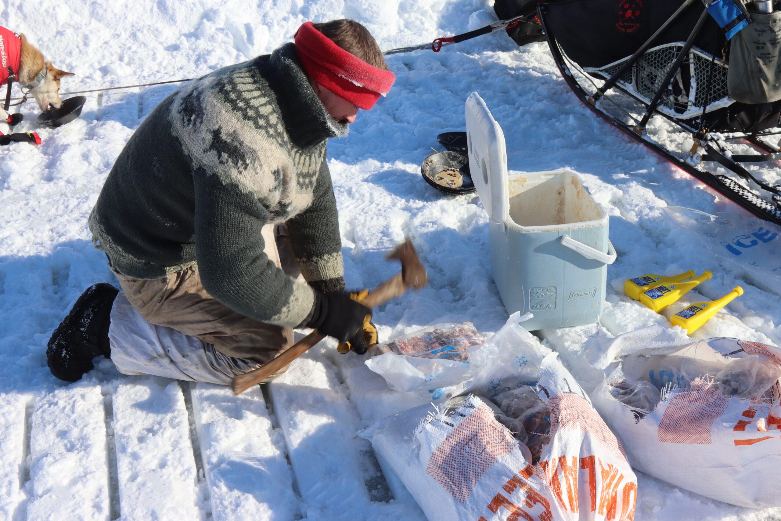 a musher hits frozen meat with the back of an axe outside