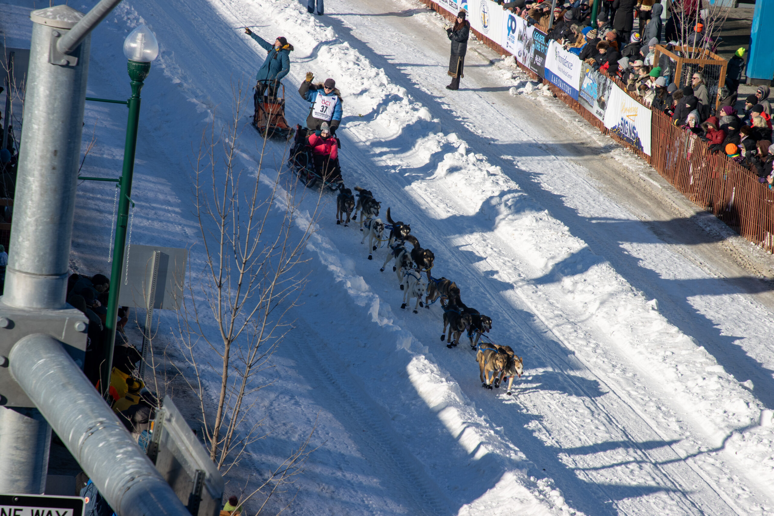 A woman on a sled in heavy winter clothing with bib number 37 being pulled by dogs down a road as viewed from above.
