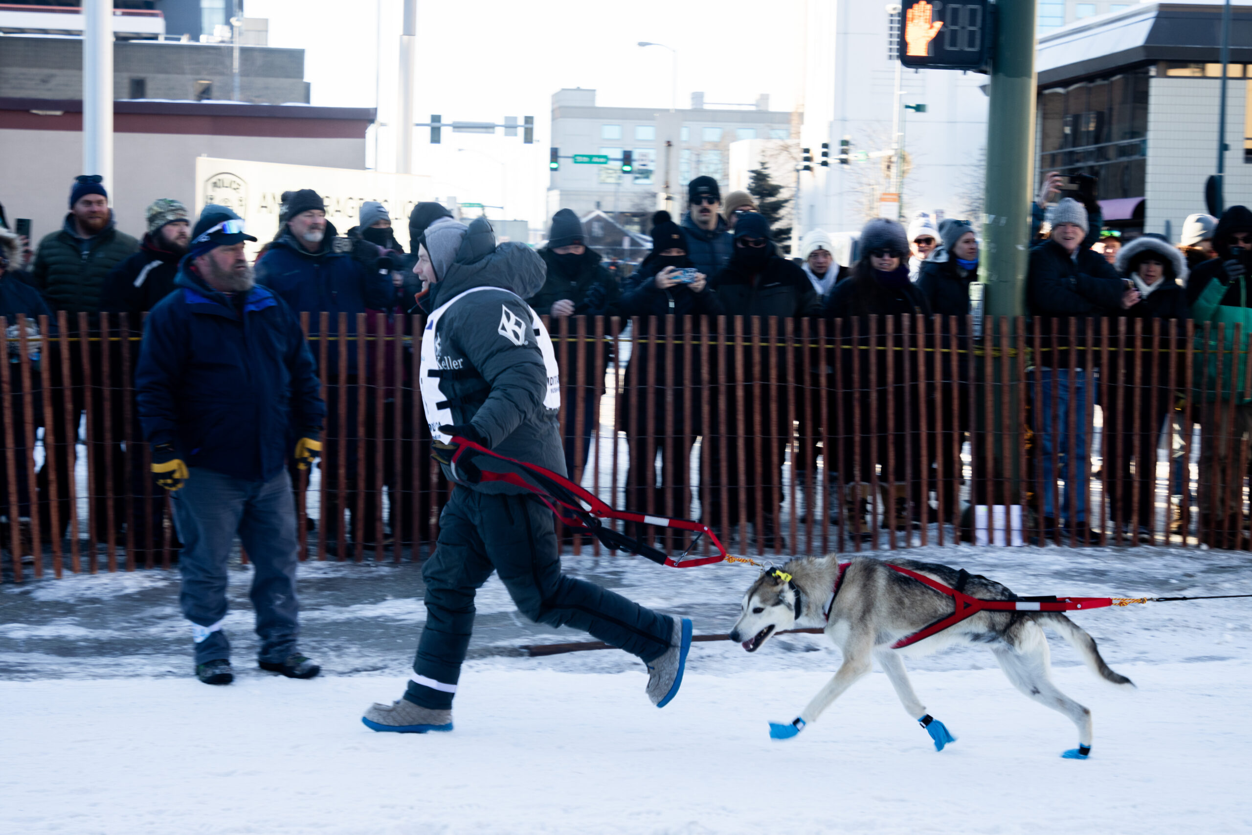 A man runs with a dog that has three legs down the street as his team prepares to run the Iditarod.