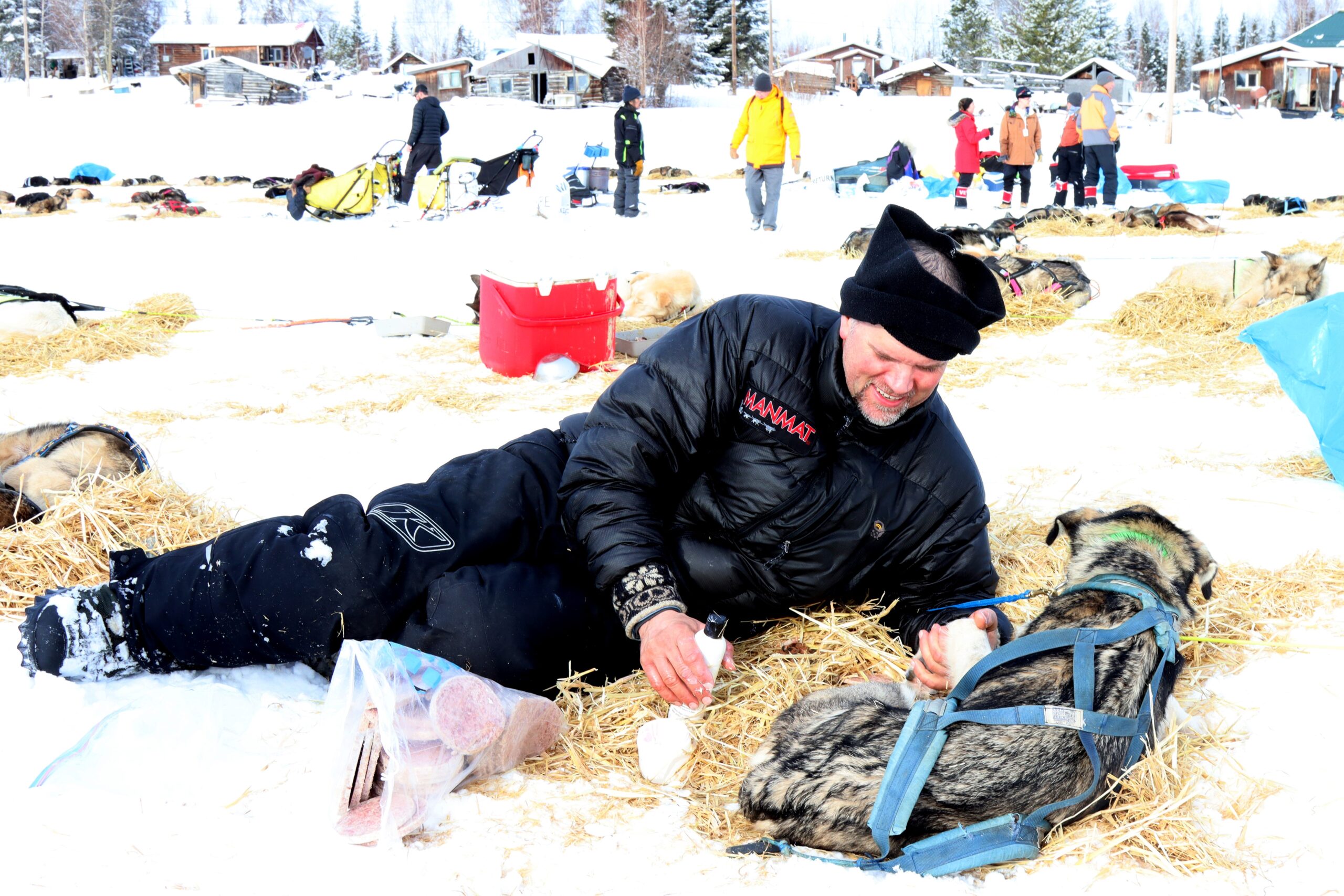 a musher applies foot ointment to a dog