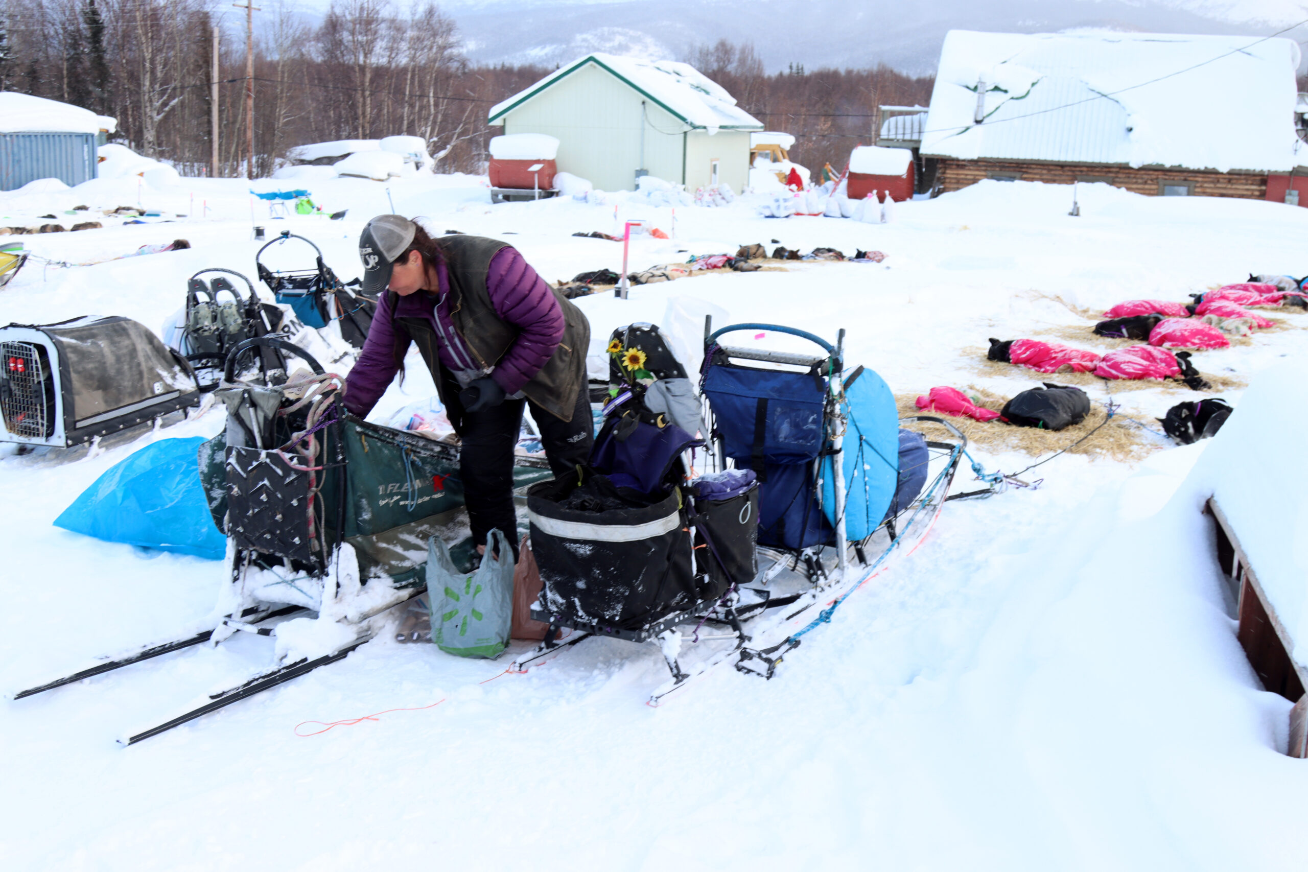 a musher looks through sled bags