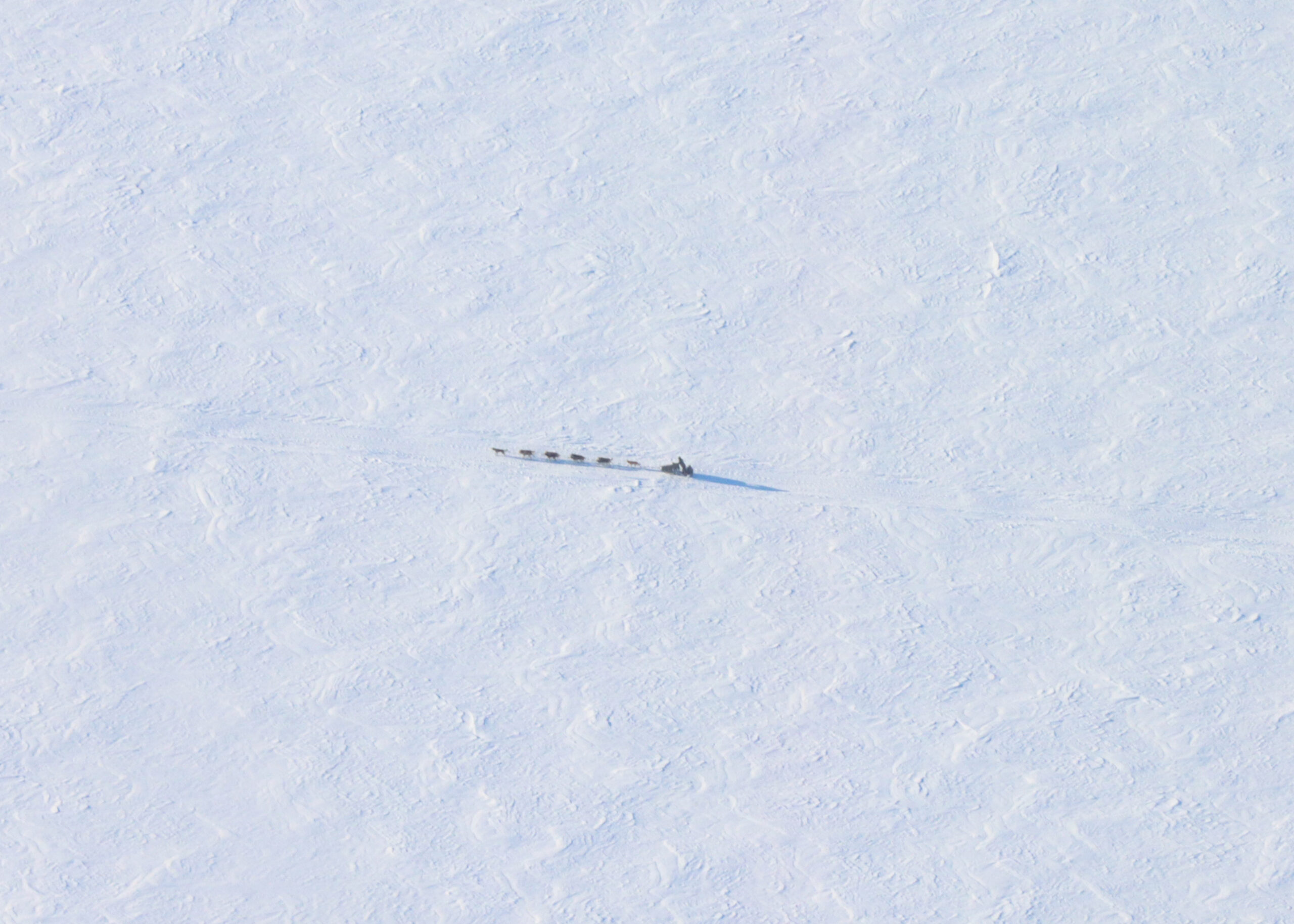 an aerial view of a musher on snow