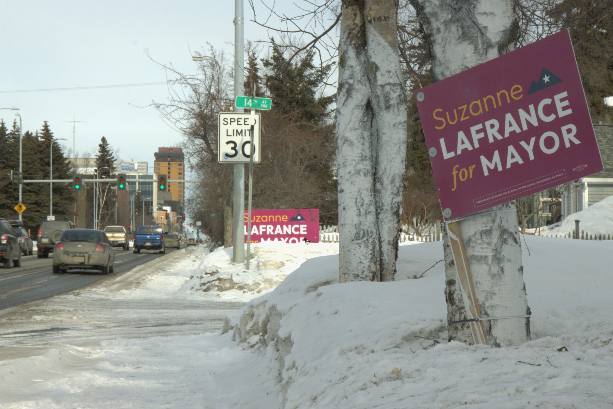 Campaign signs supporting mayoral candidate Suzanne LaFrance 