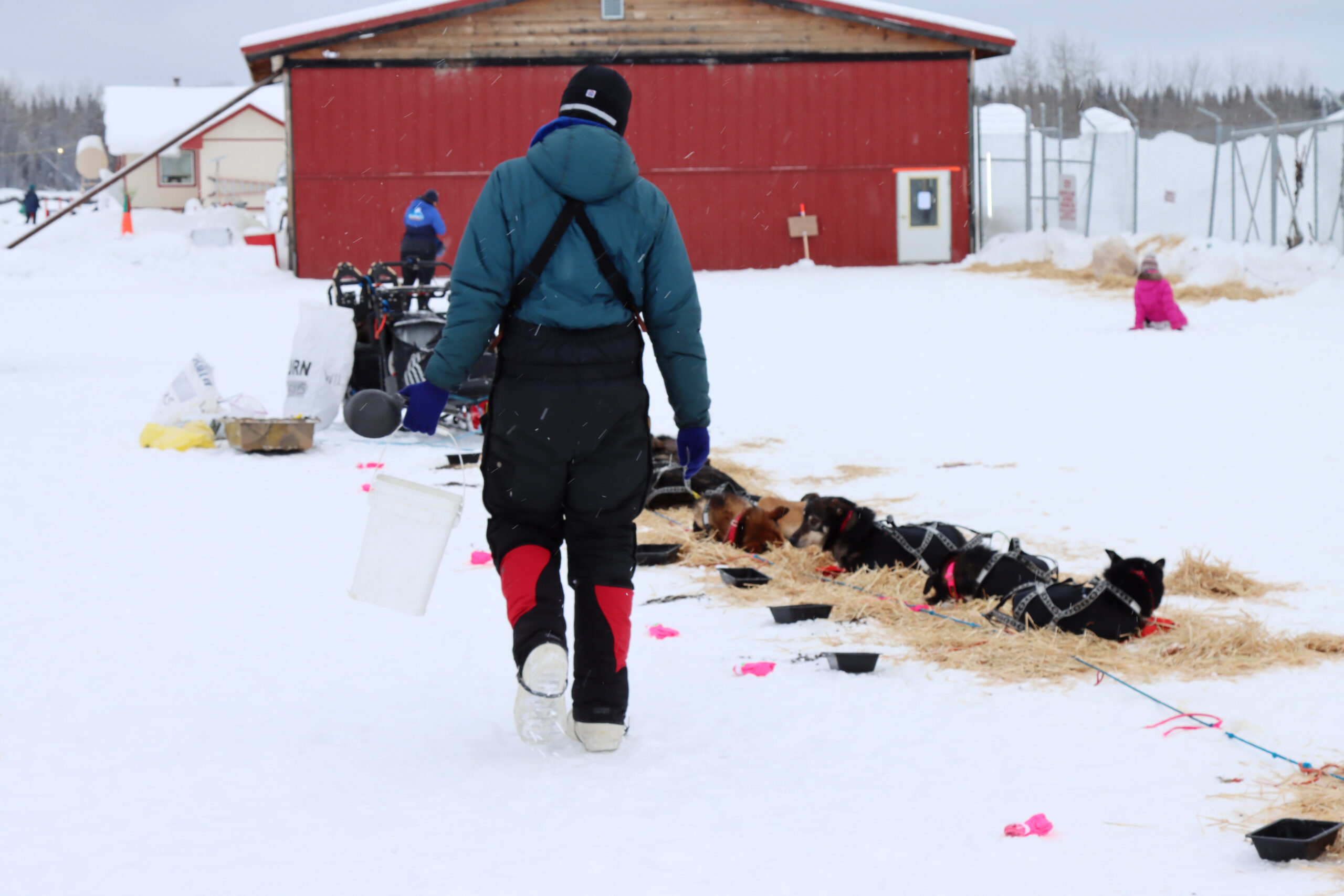 a musher carries a bucket of water outside