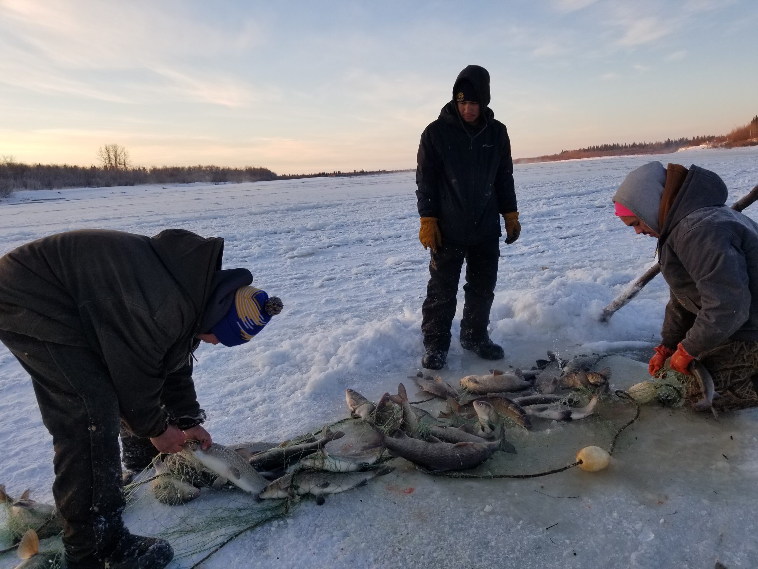 Three men in winter gear stand on a frozen river, gathered around several fish pulled out of a hole carved into the ice.