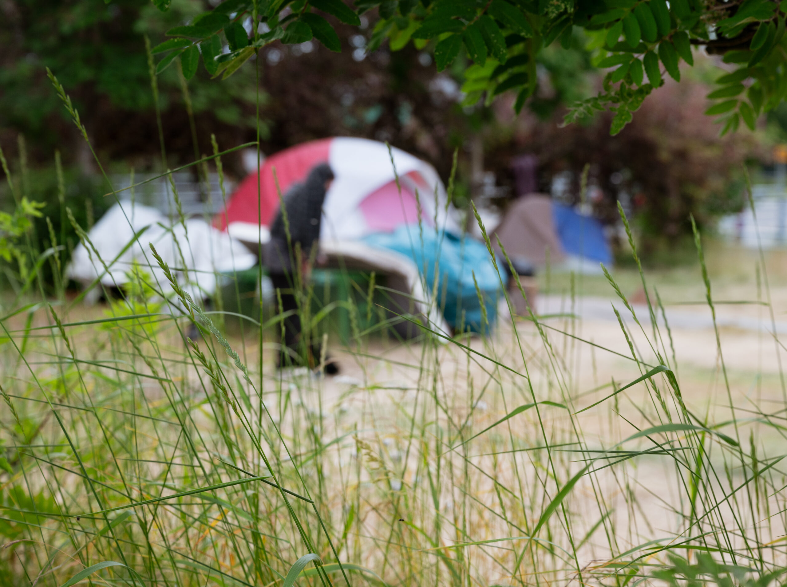 A homeless camp near downtown Anchorage.