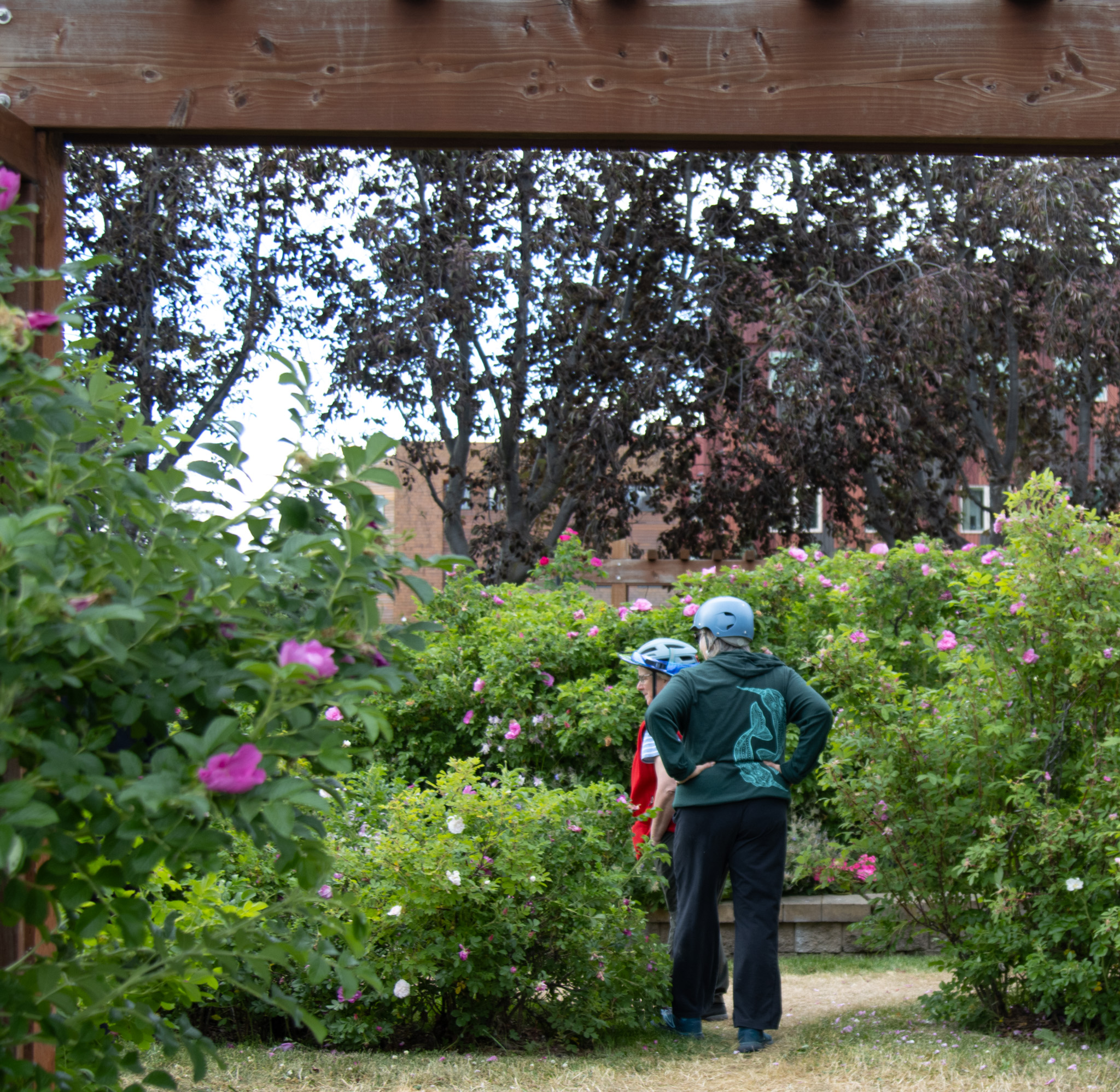 Two women successful a garden