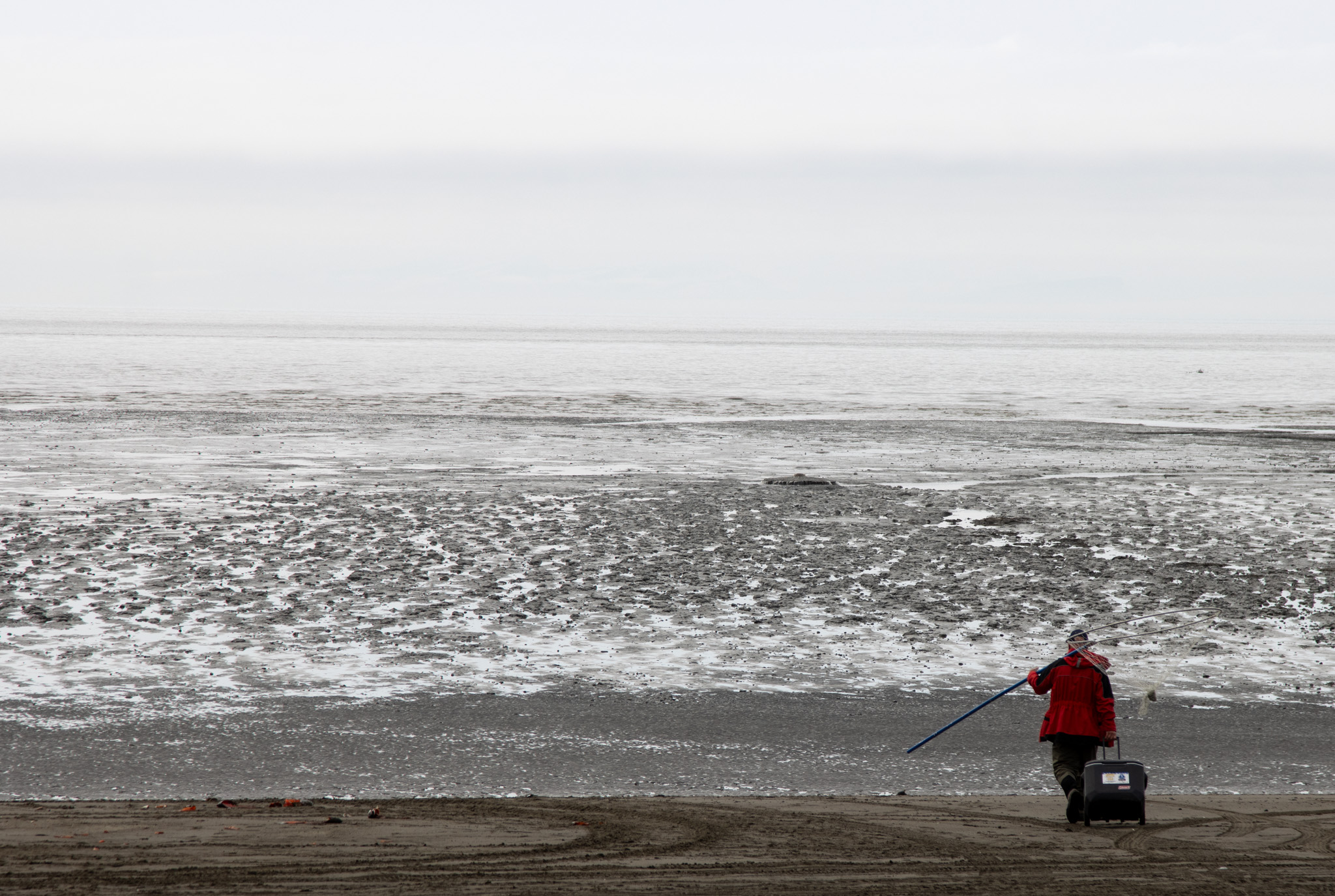 A man walks out to dip net before the tide comes in