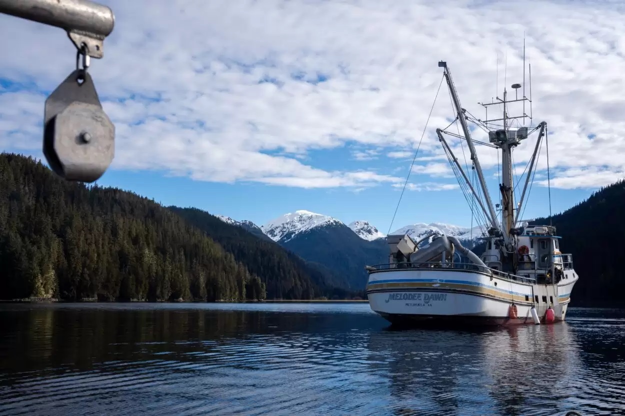 a sportfishing boat