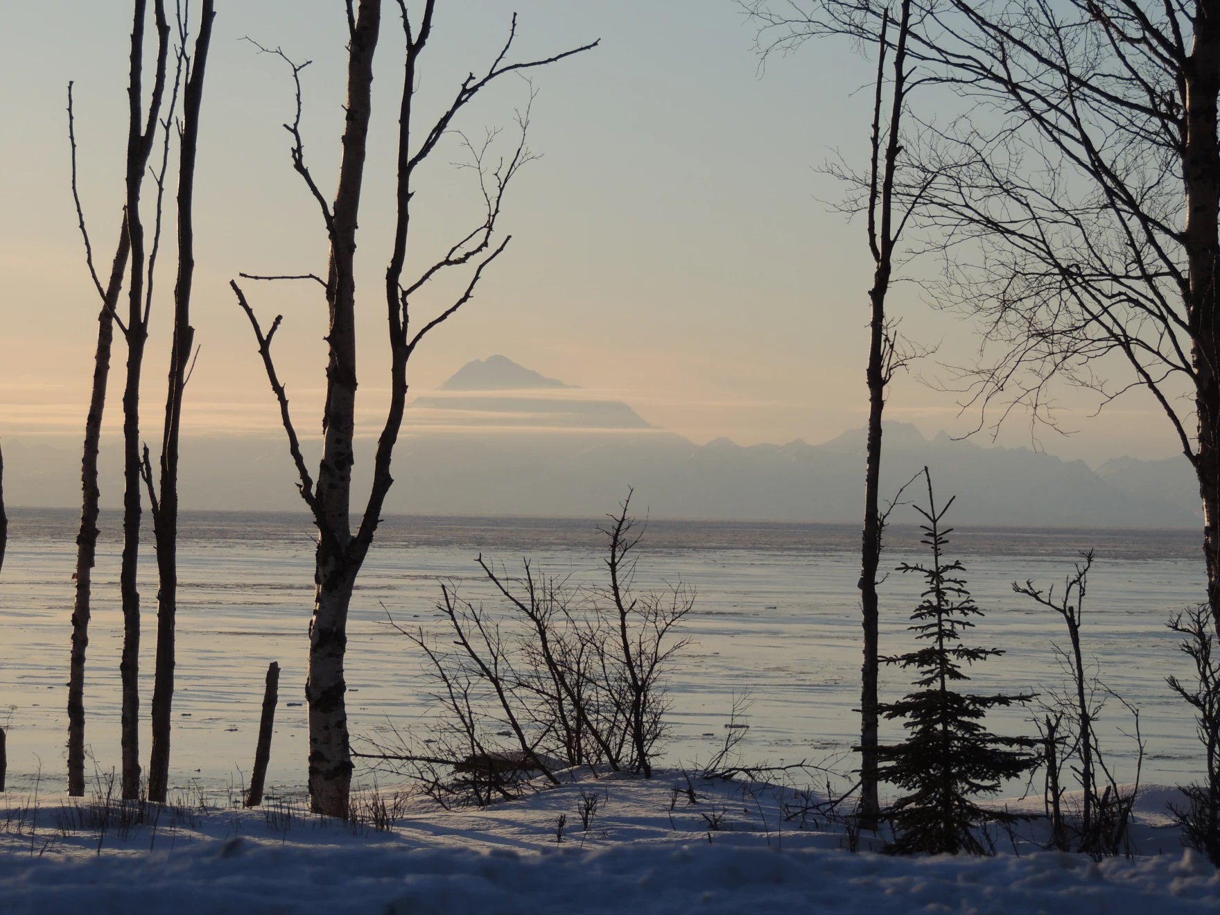 Cook Inlet