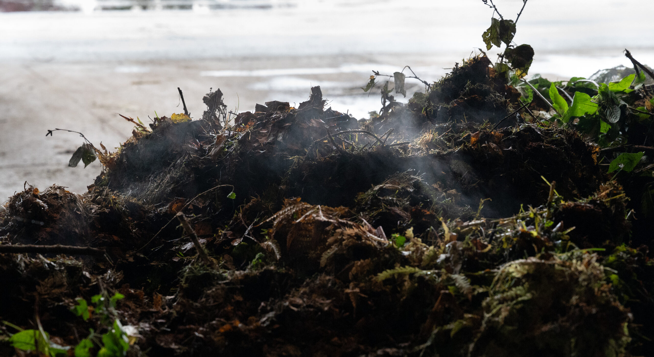 a smoking pile of organic material