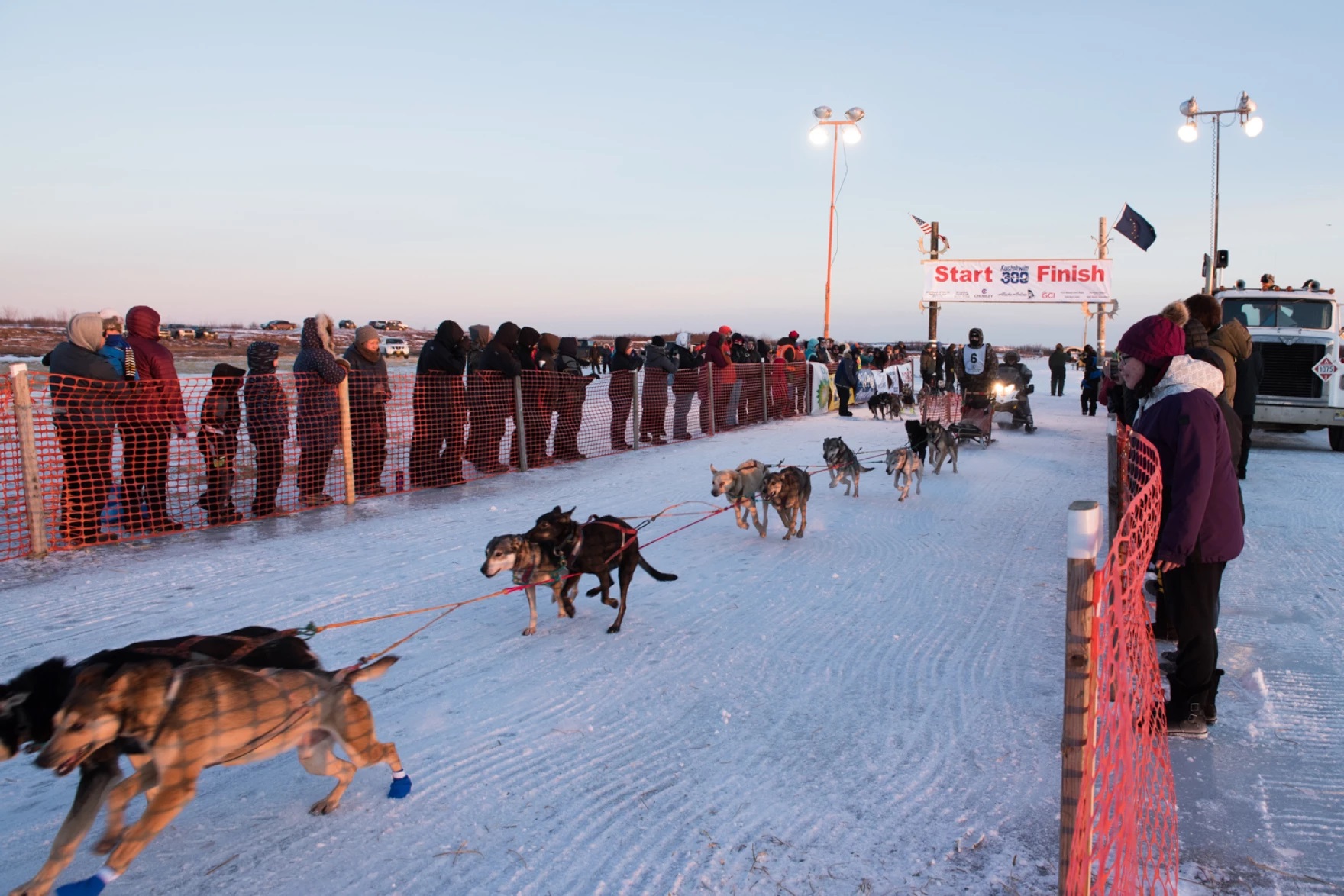 a dogsled team