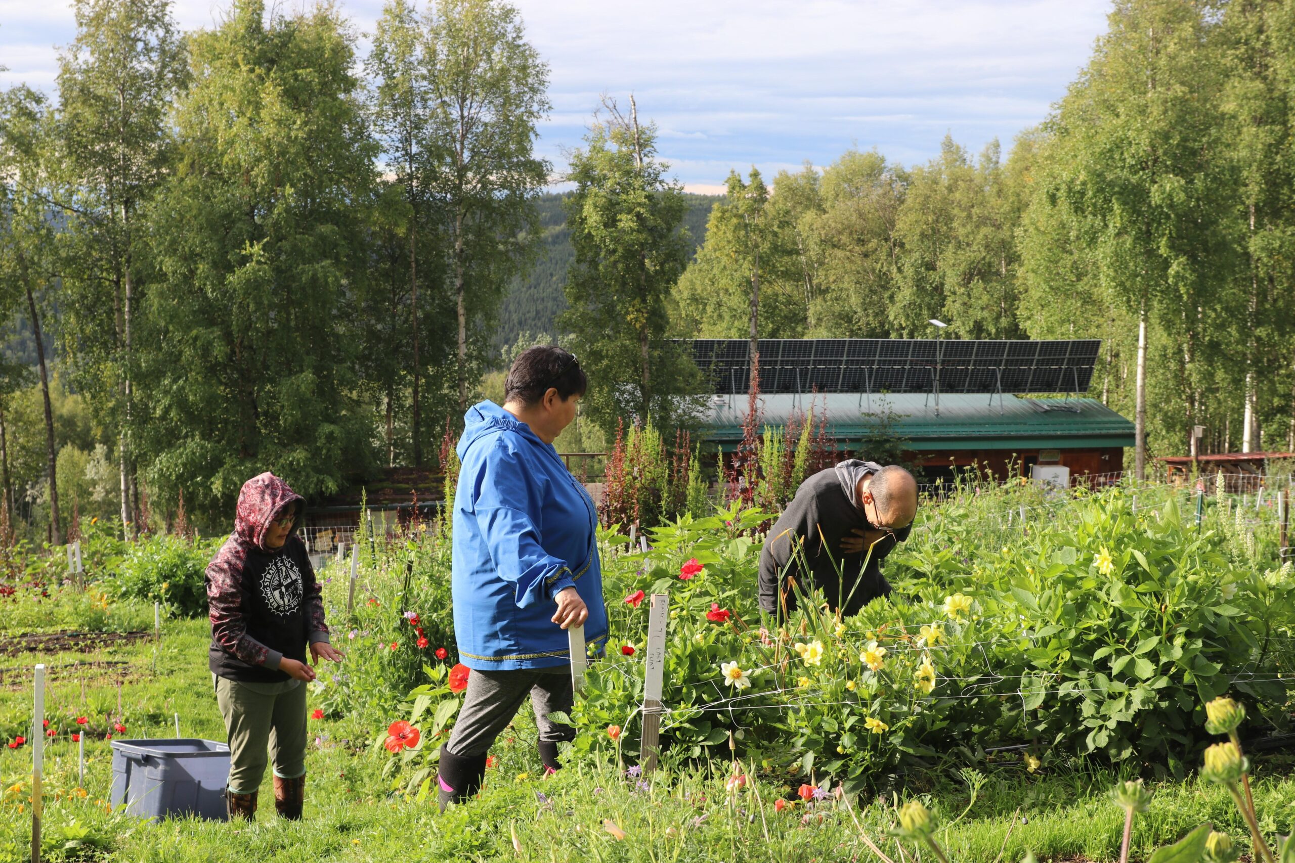 farmers in a field