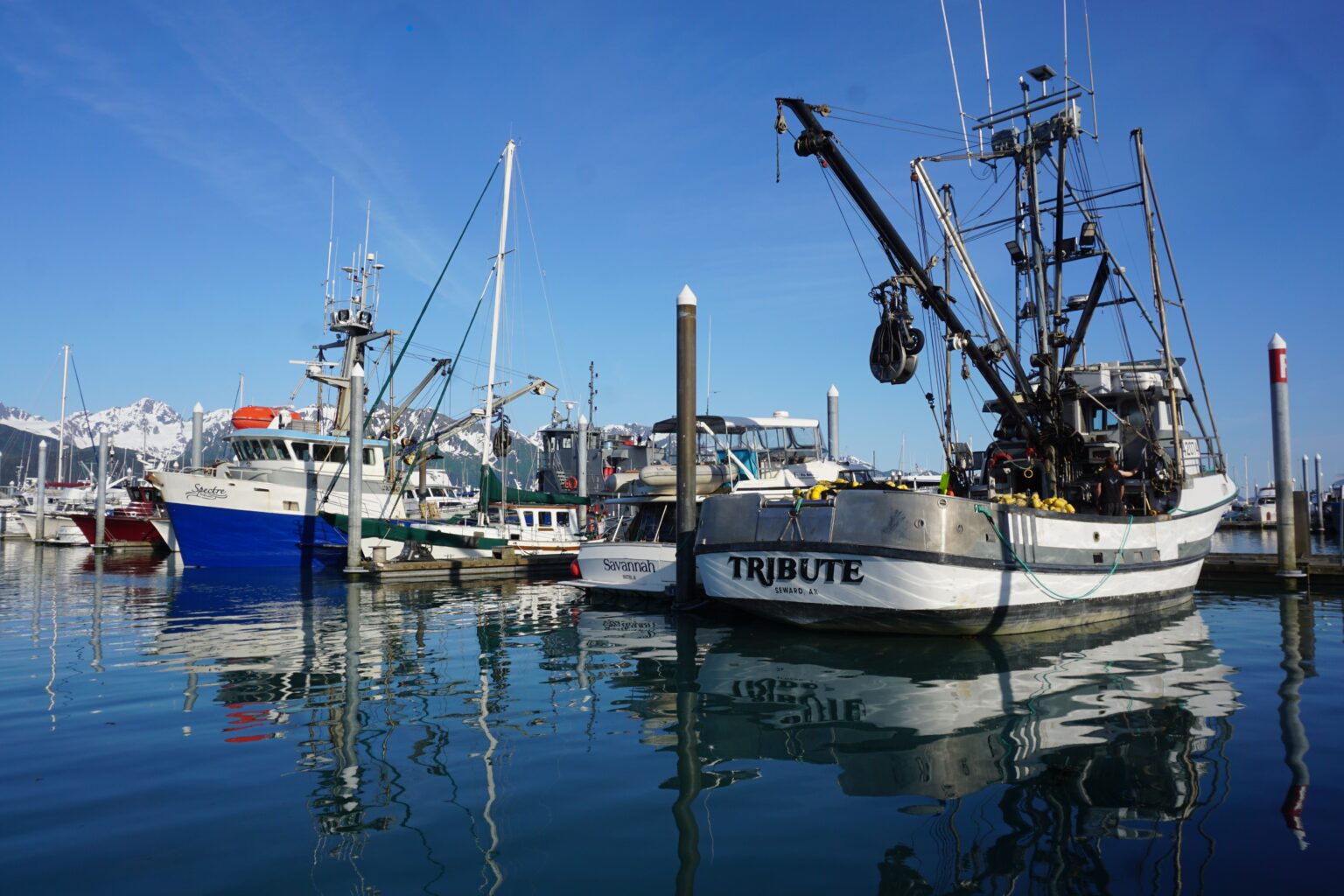 fishing boats