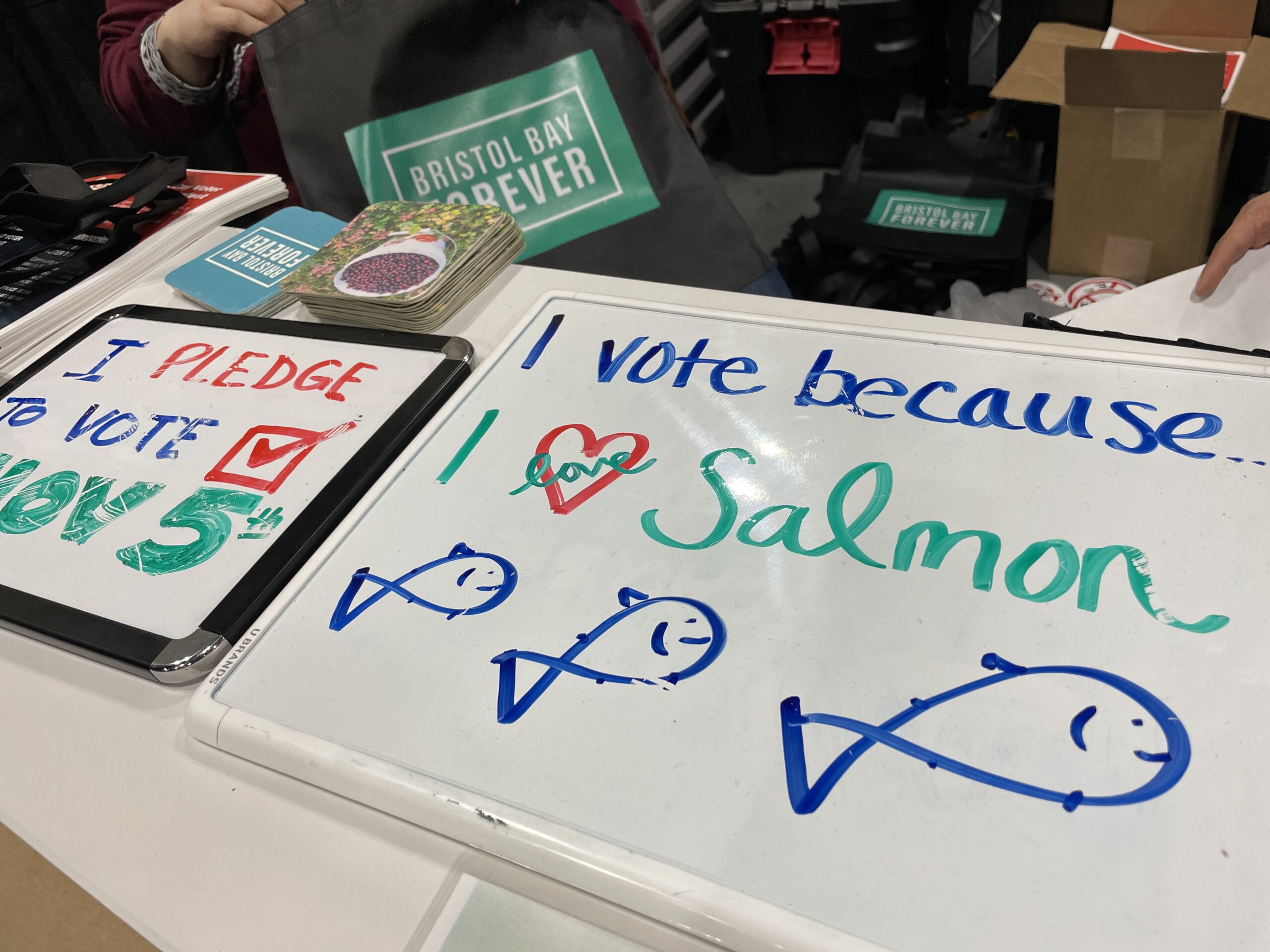 "I vote because I love salmon" is the message on a white board