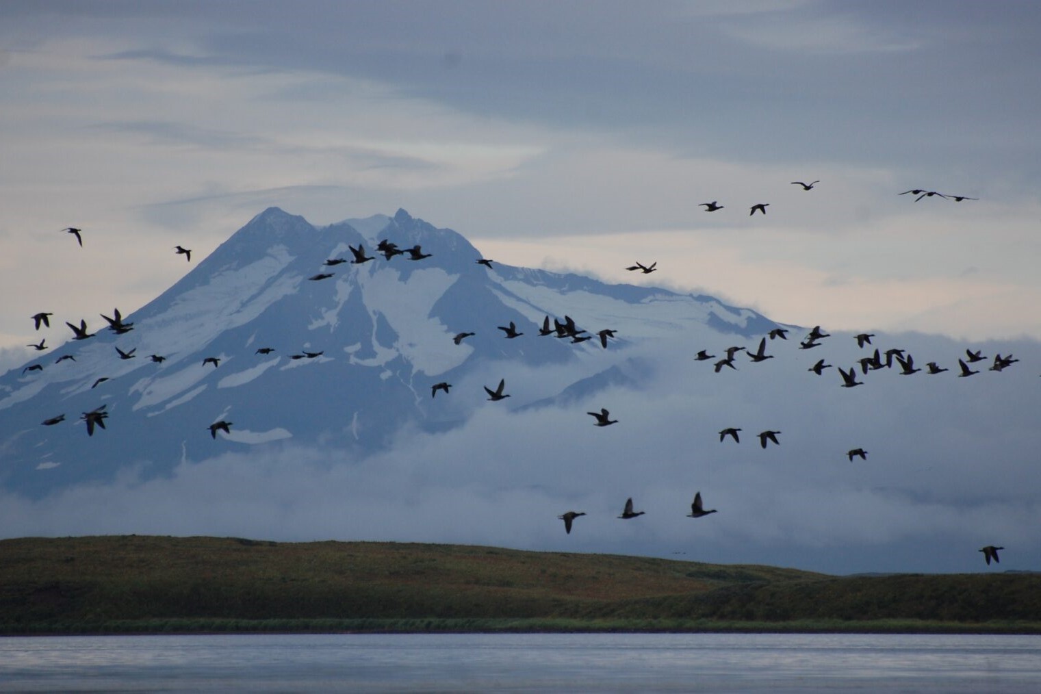 birds fly by a mountain