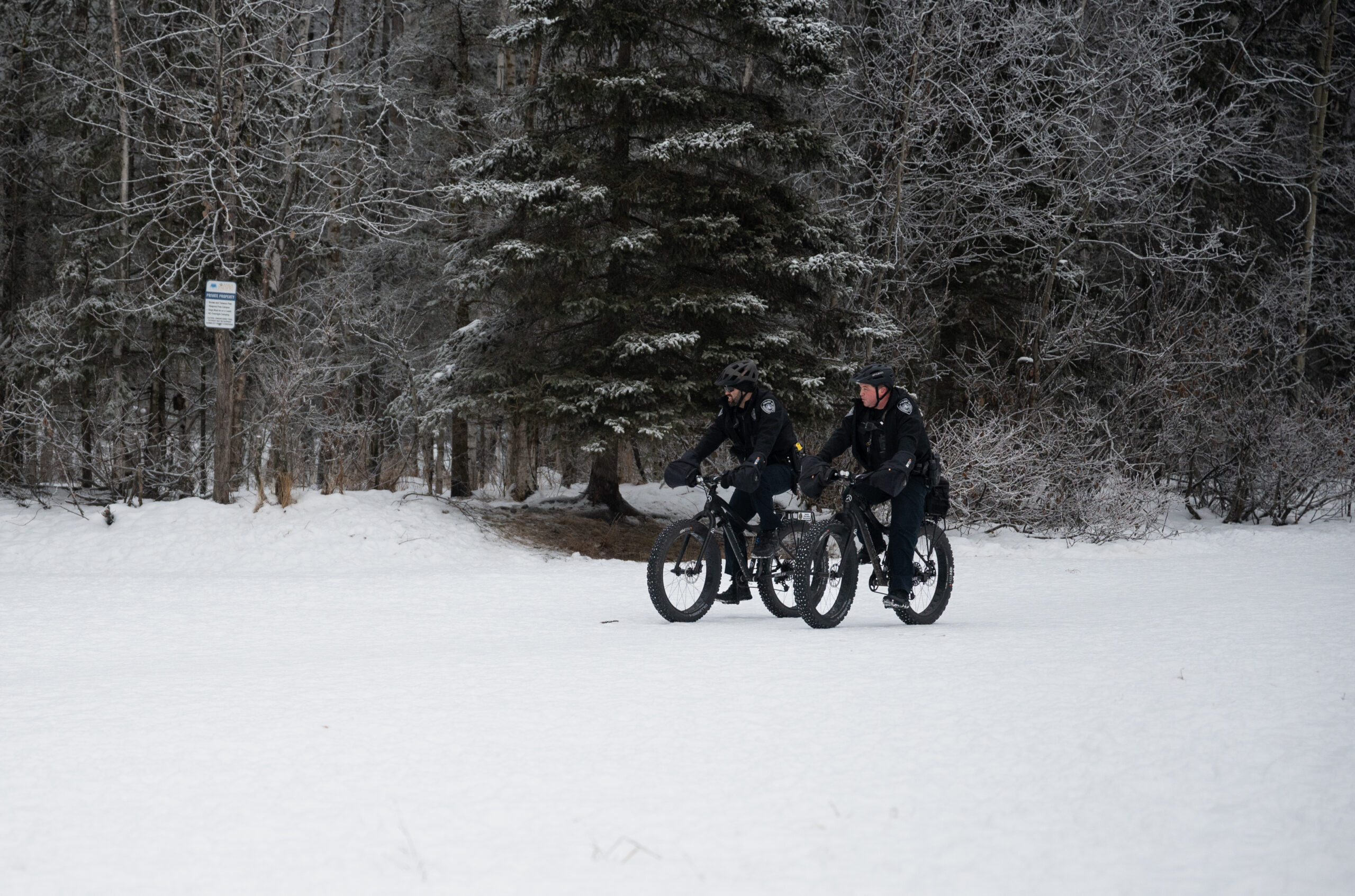 APD officers on bicycles in a park.