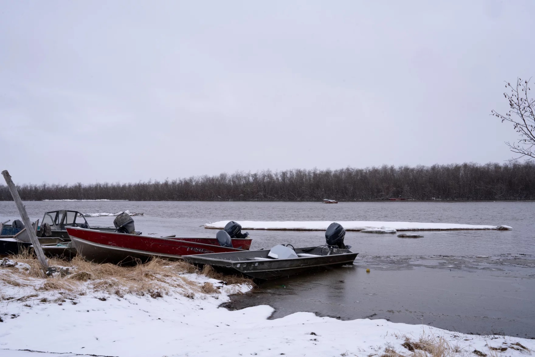 boats