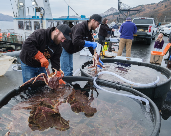 Two men hold crab in tubs.