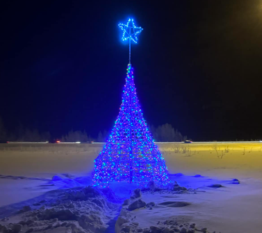 Tolstrup family carries on Glenn Highway Christmas tree tradition